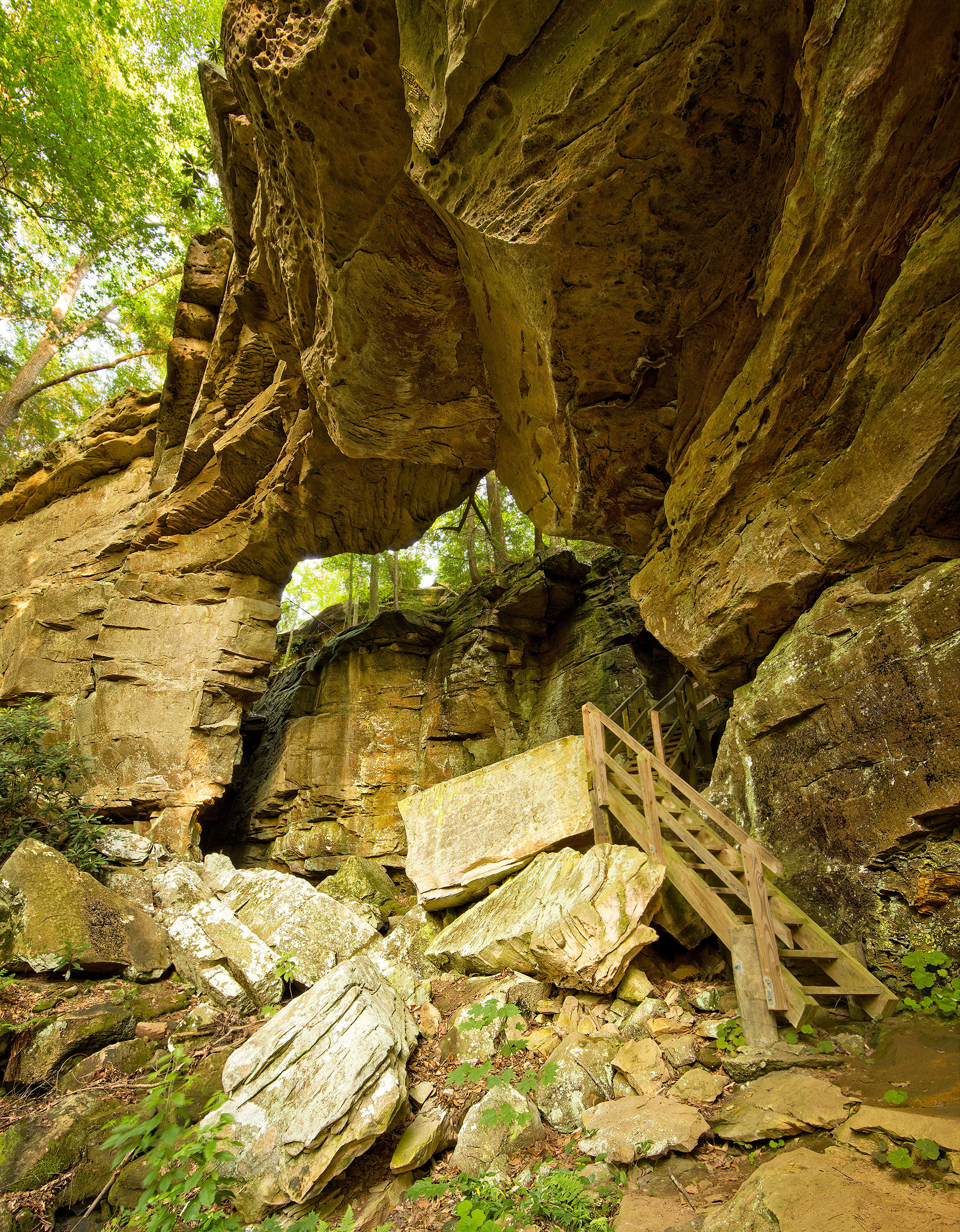 Split Bow Arch Big South Fork
