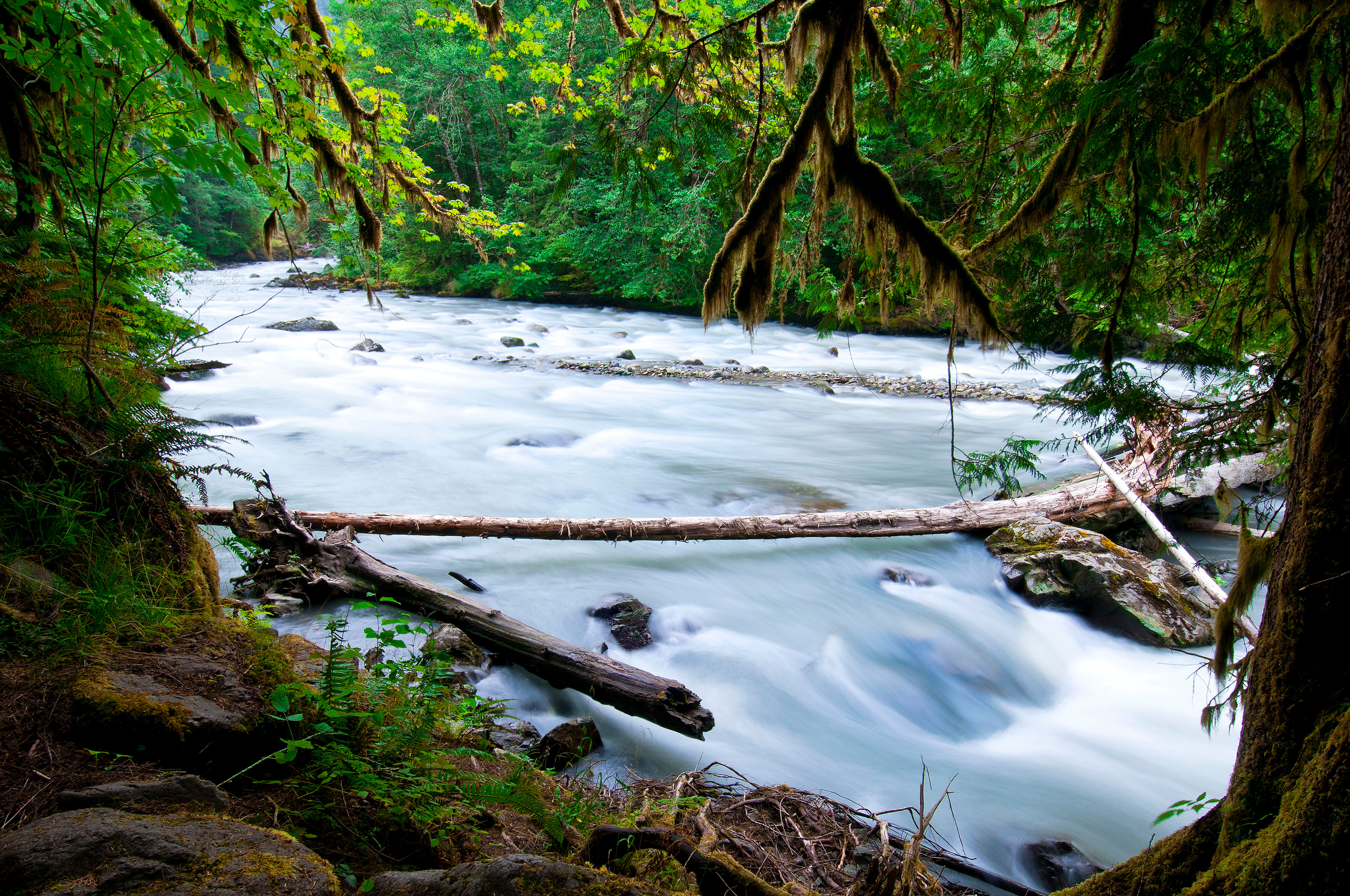 Horseshoe Bend trail, Mt Baker