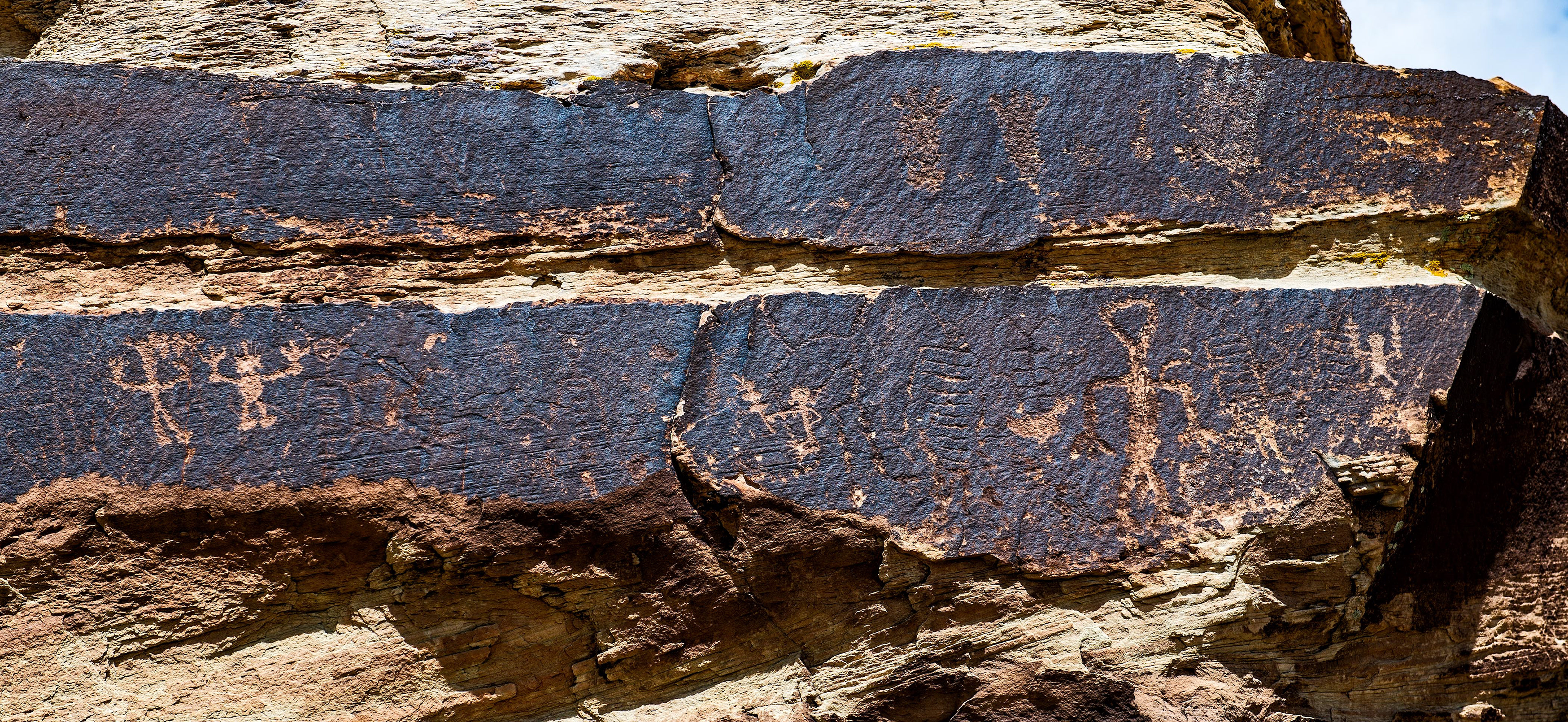 Puerco Pueblo - PFNP