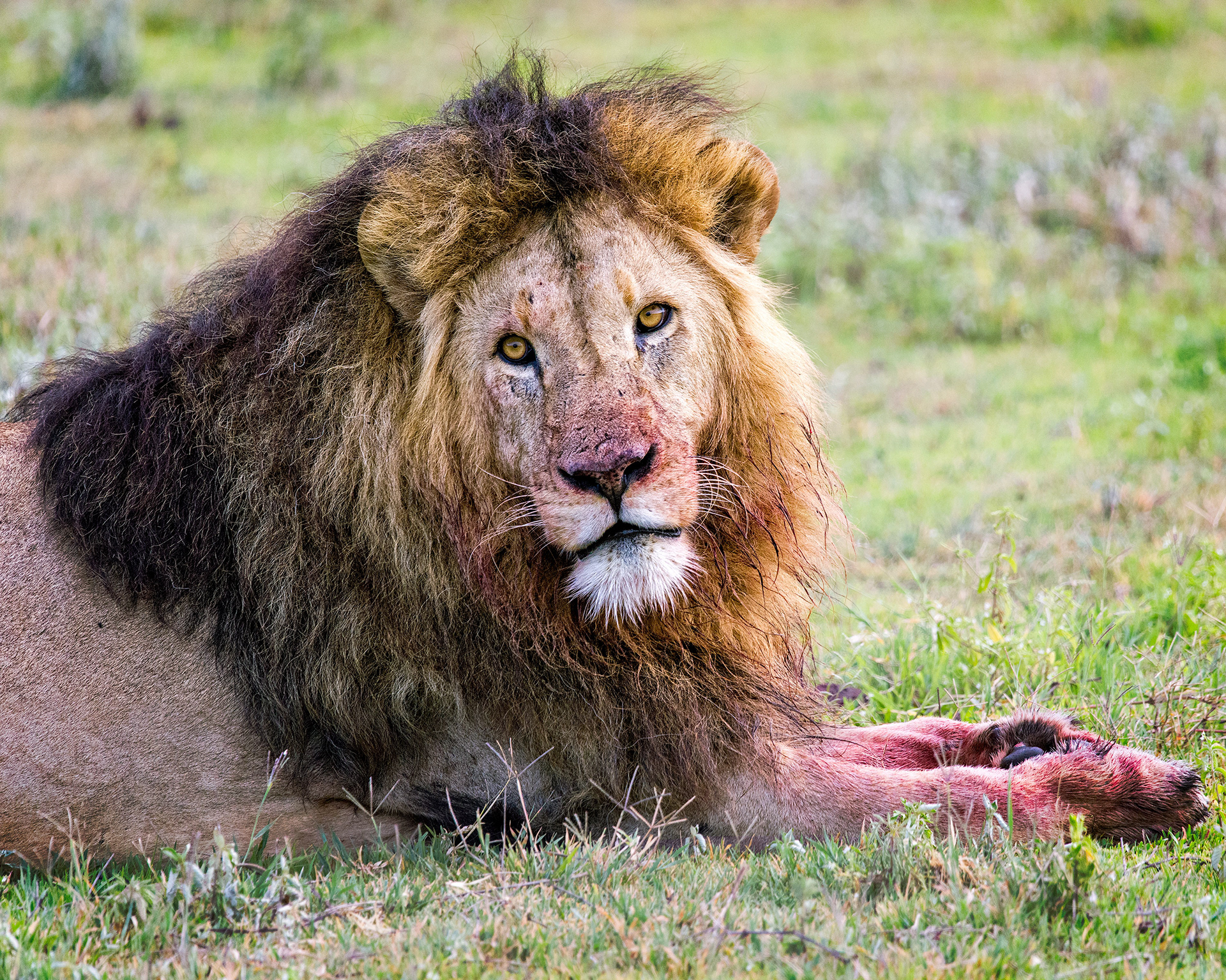 Ngorongoro Crater, Tanzania