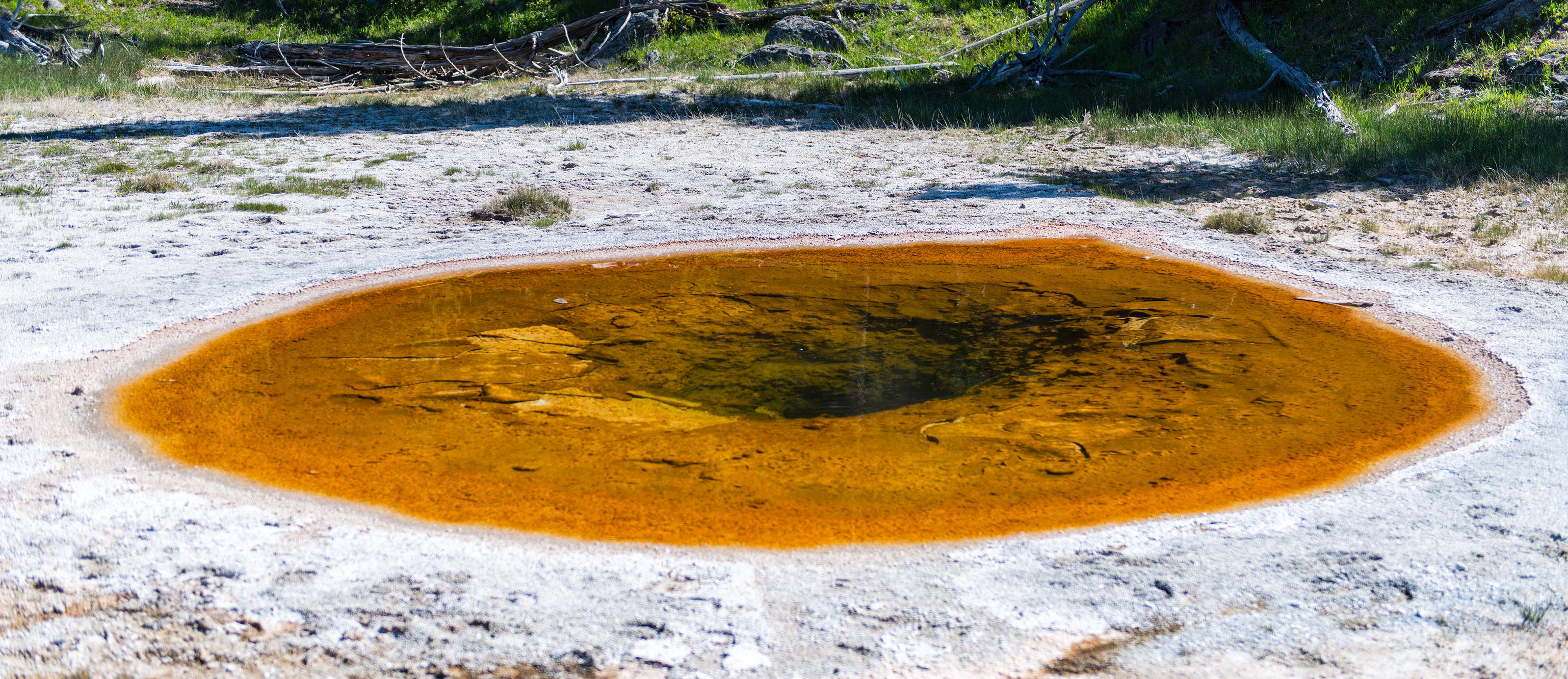 Upper Geyser Basin