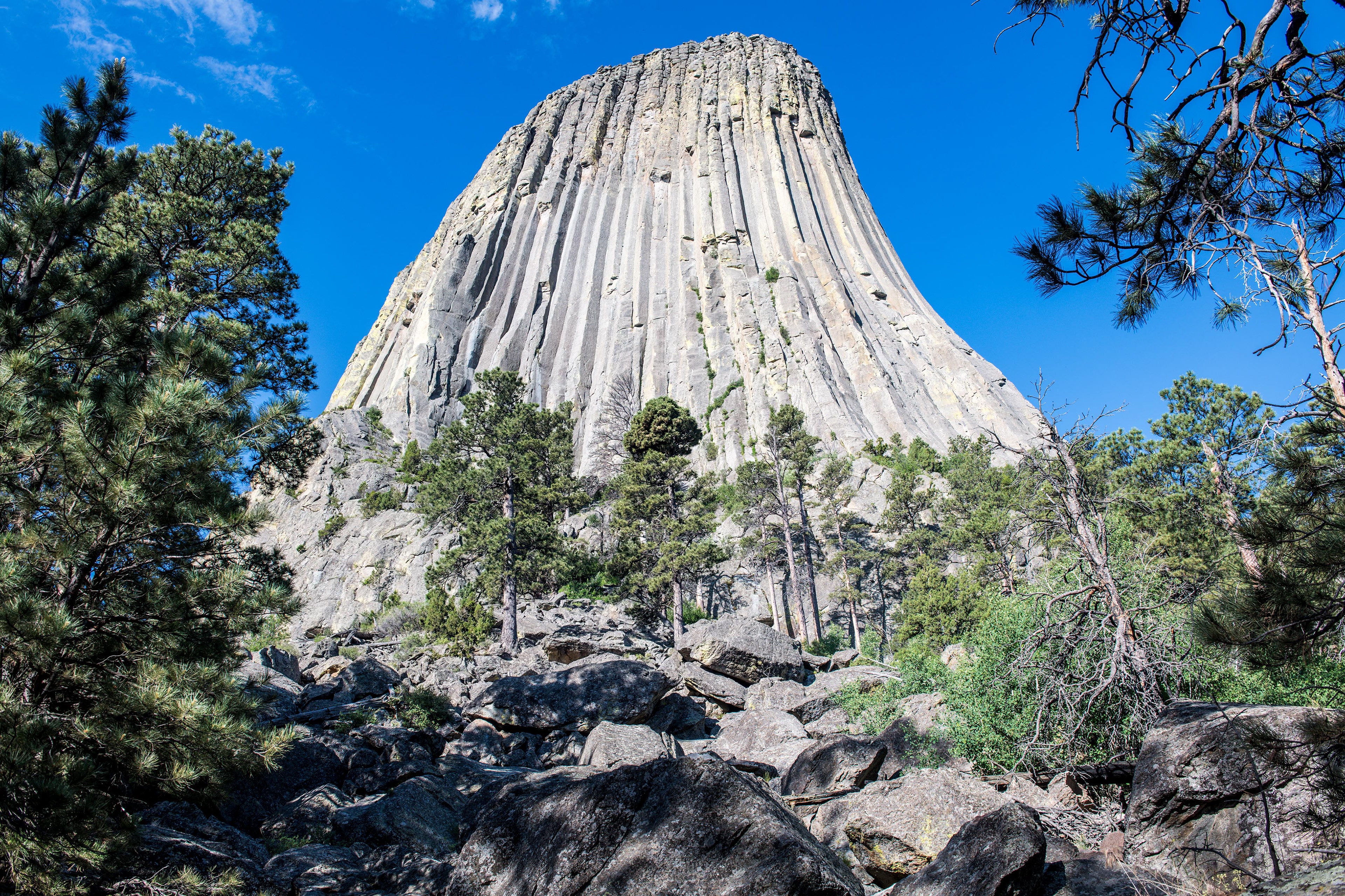 Devil's Tower