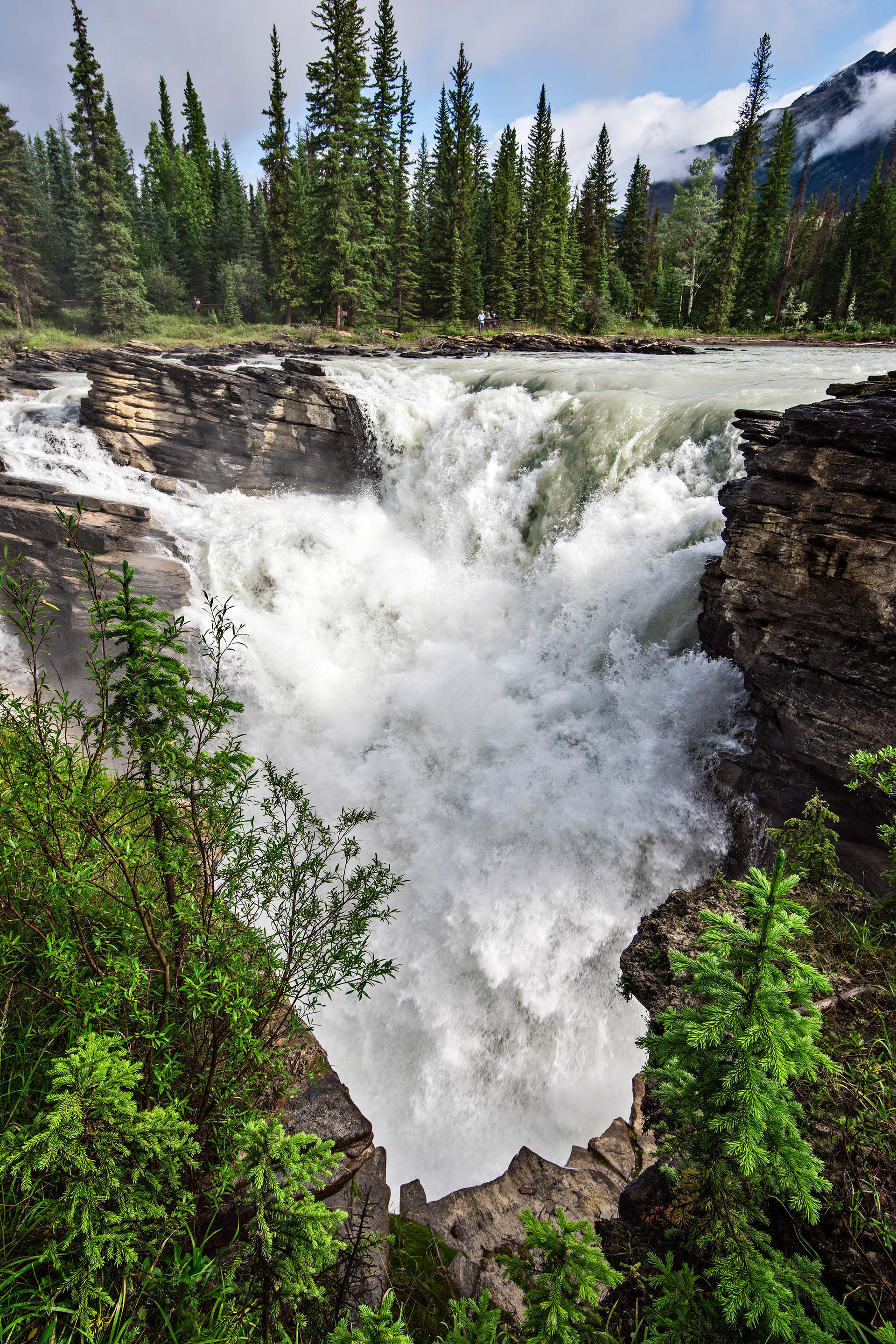 Athabasca Falls