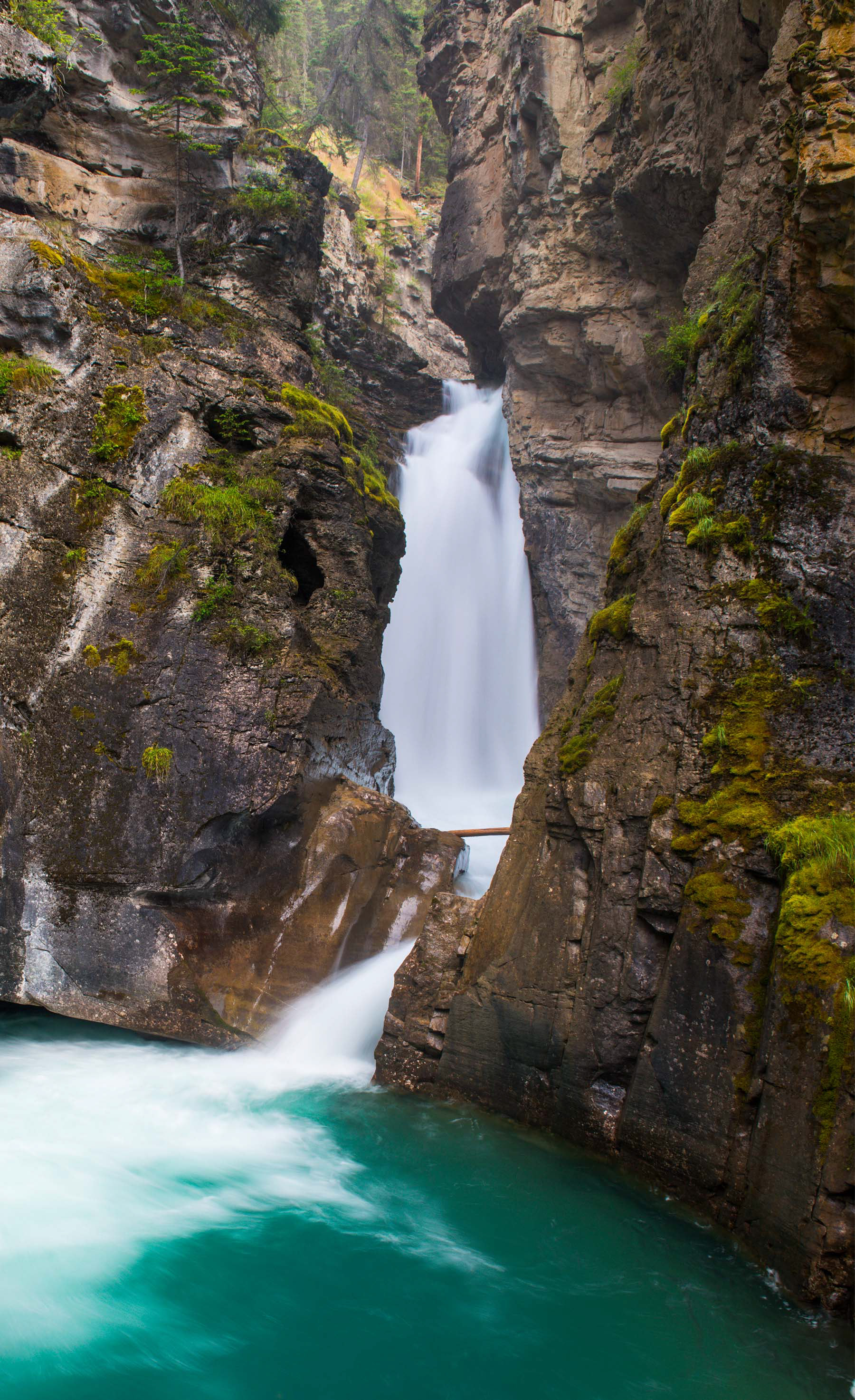 Johnston Canyon