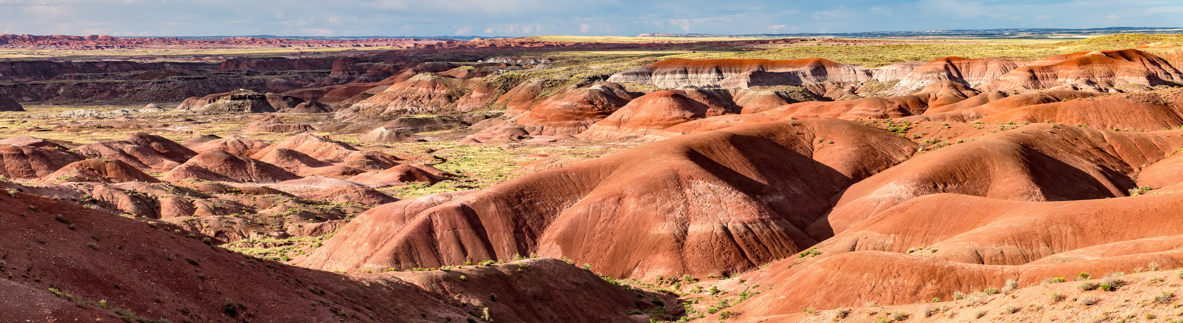 Painted Desert