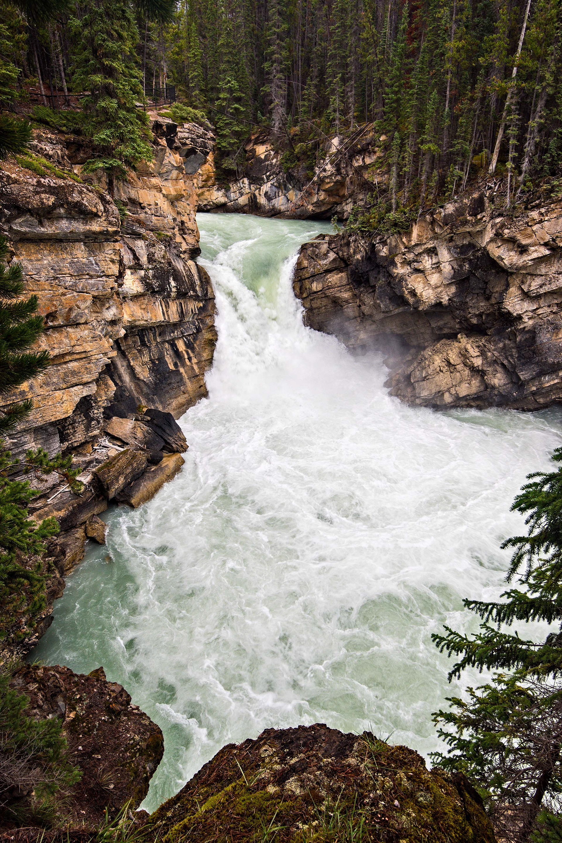 Sunwapta Falls