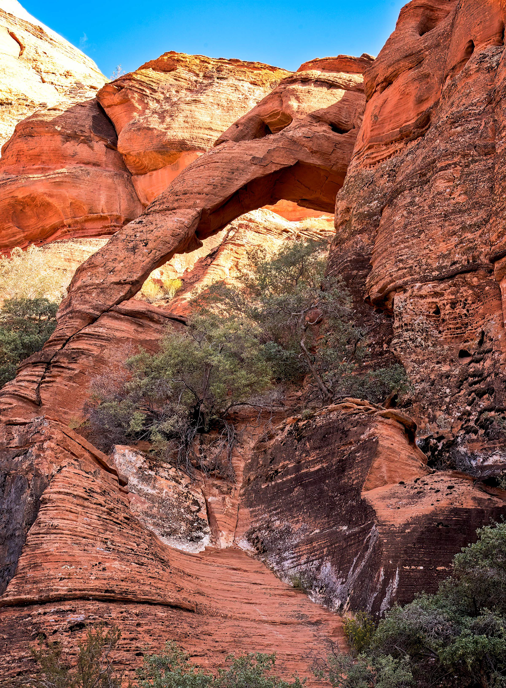 Elephant Arch, St George