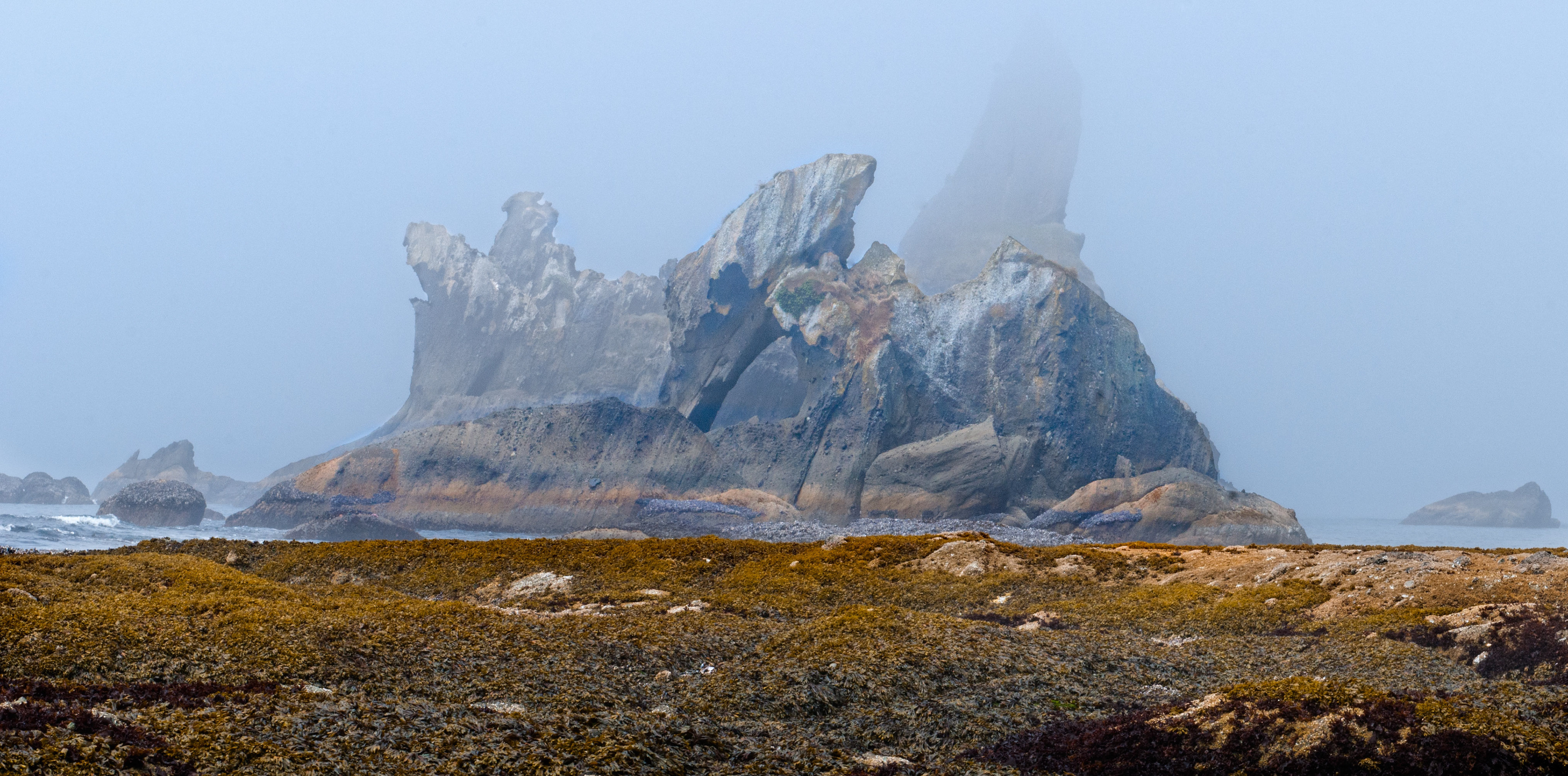 Shi Shi Beach, Olympic Peninsula
