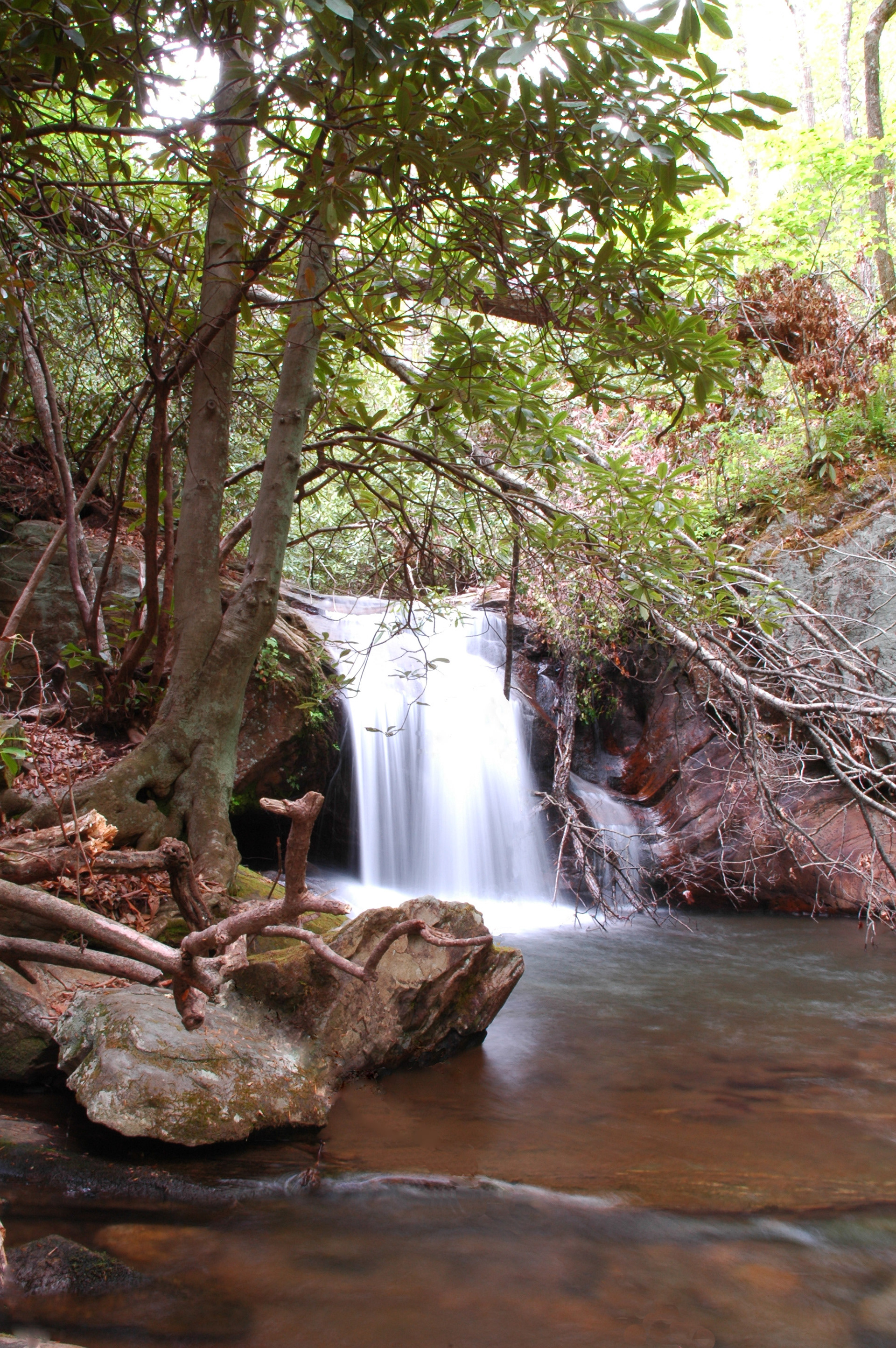 Camp Branch Falls, Western NC
