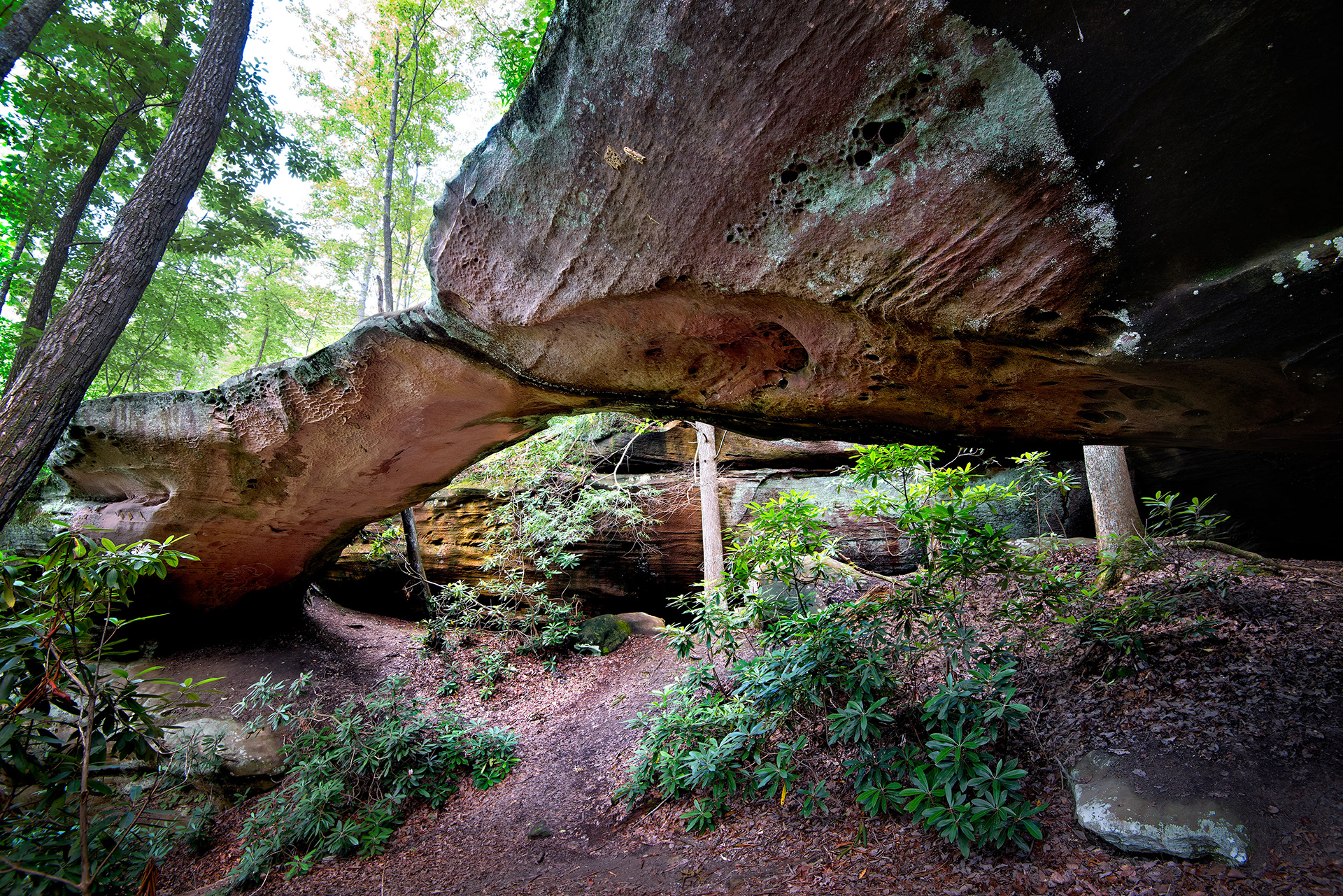 Natural Bridge Pickett State Park