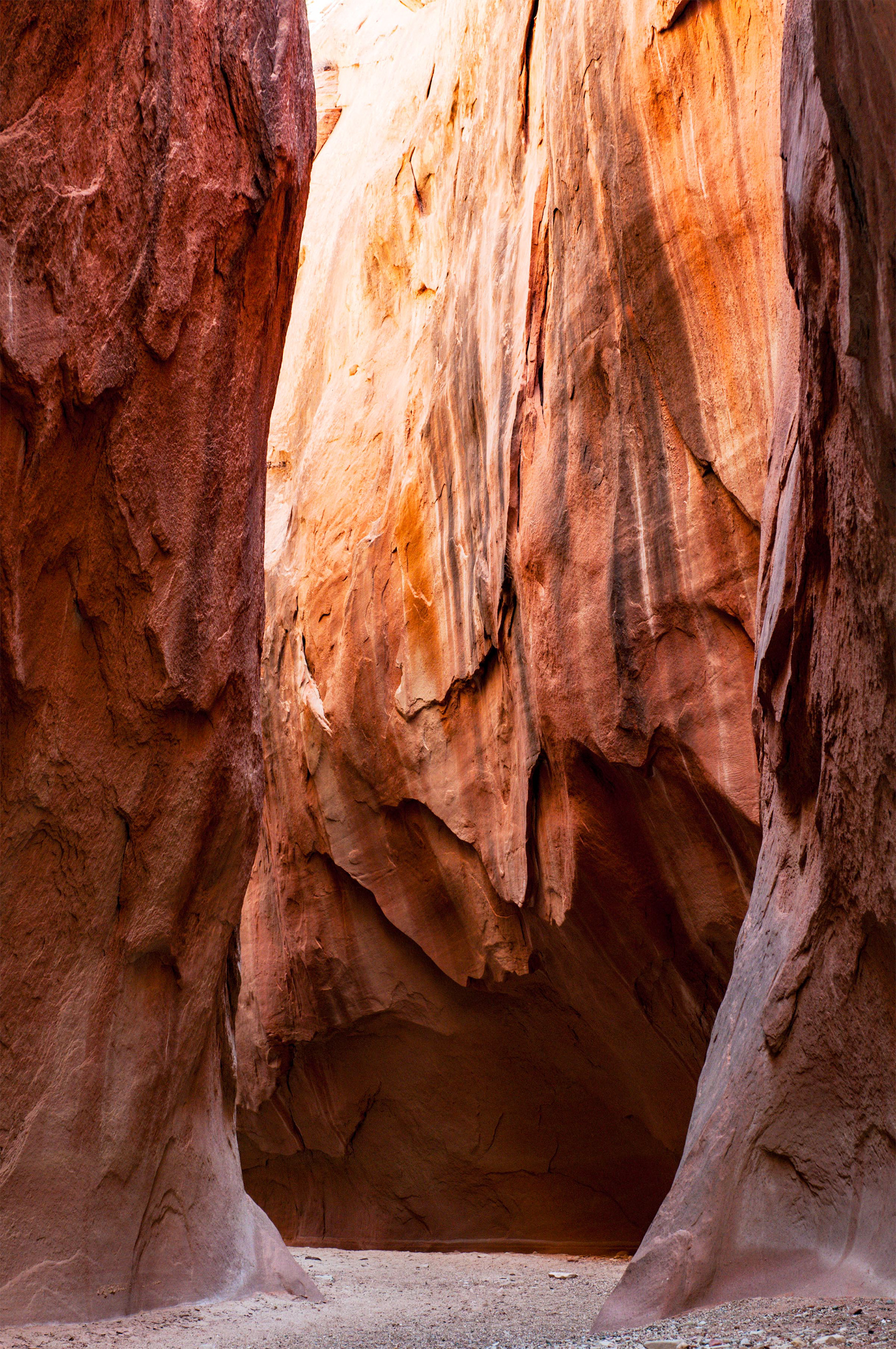Dry Fork Narrows - Escalante