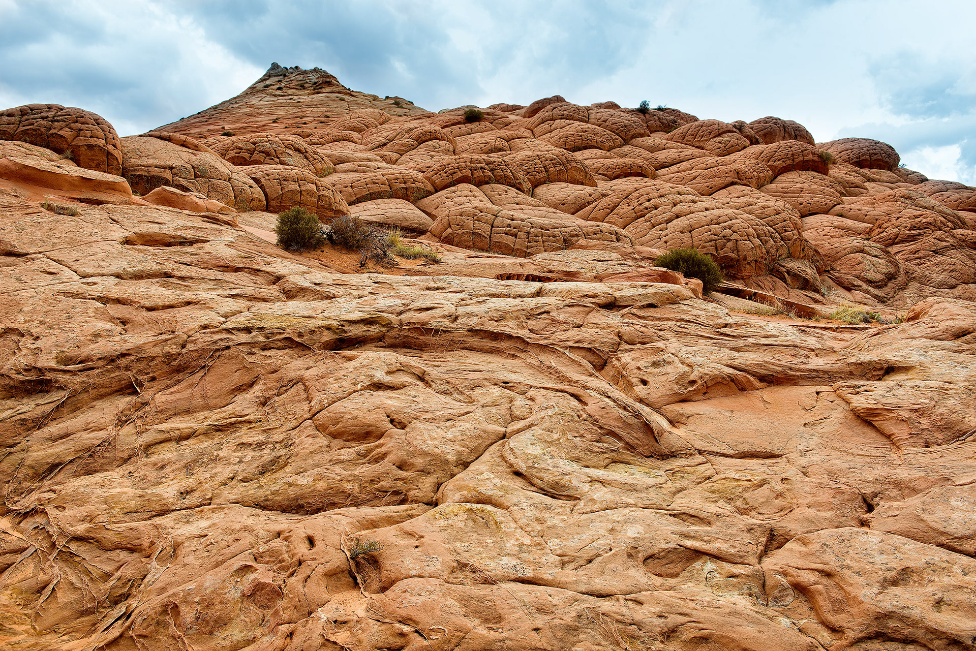 Edmaier's Secret, The Paria