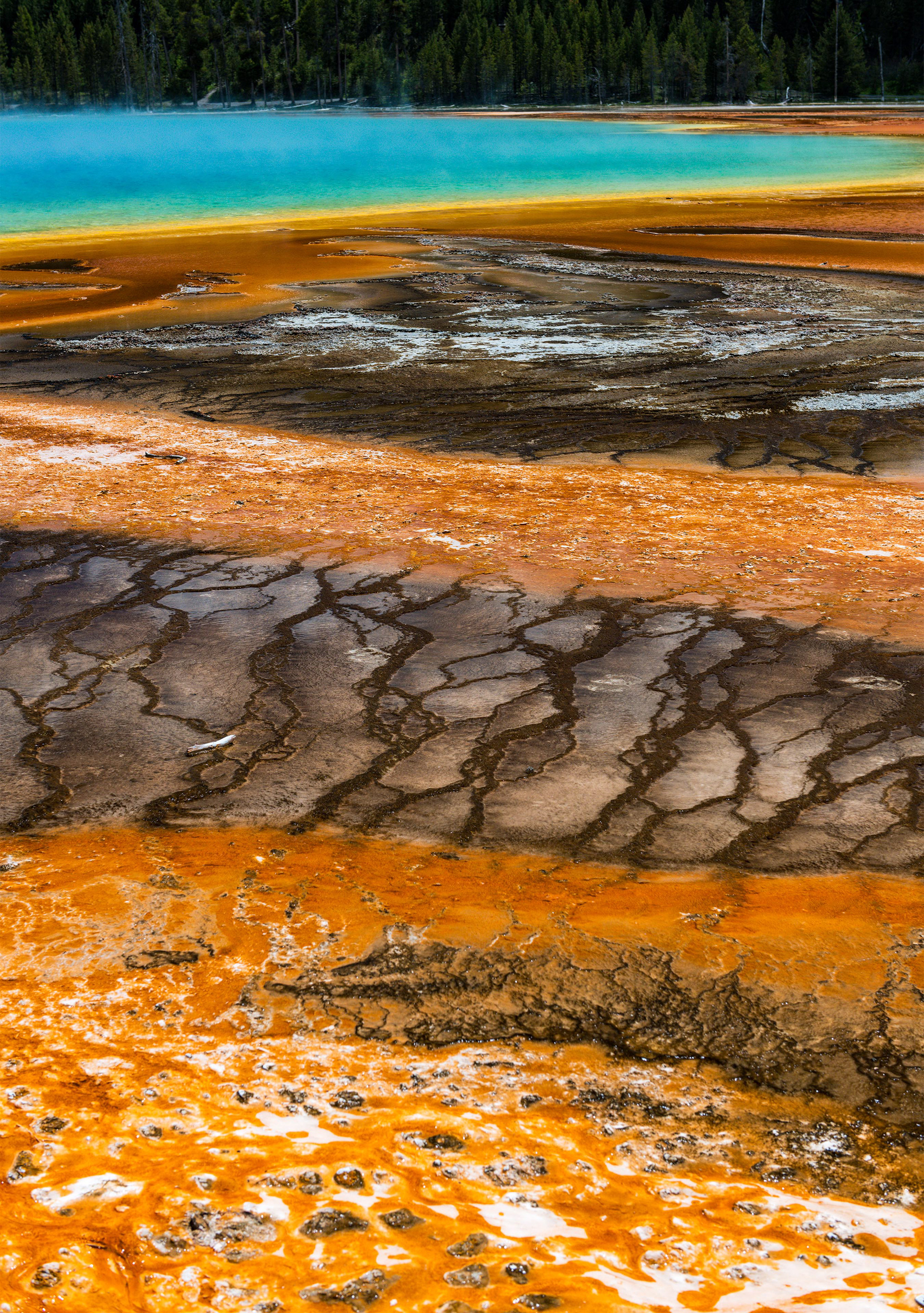 Grand Prismatic Spring