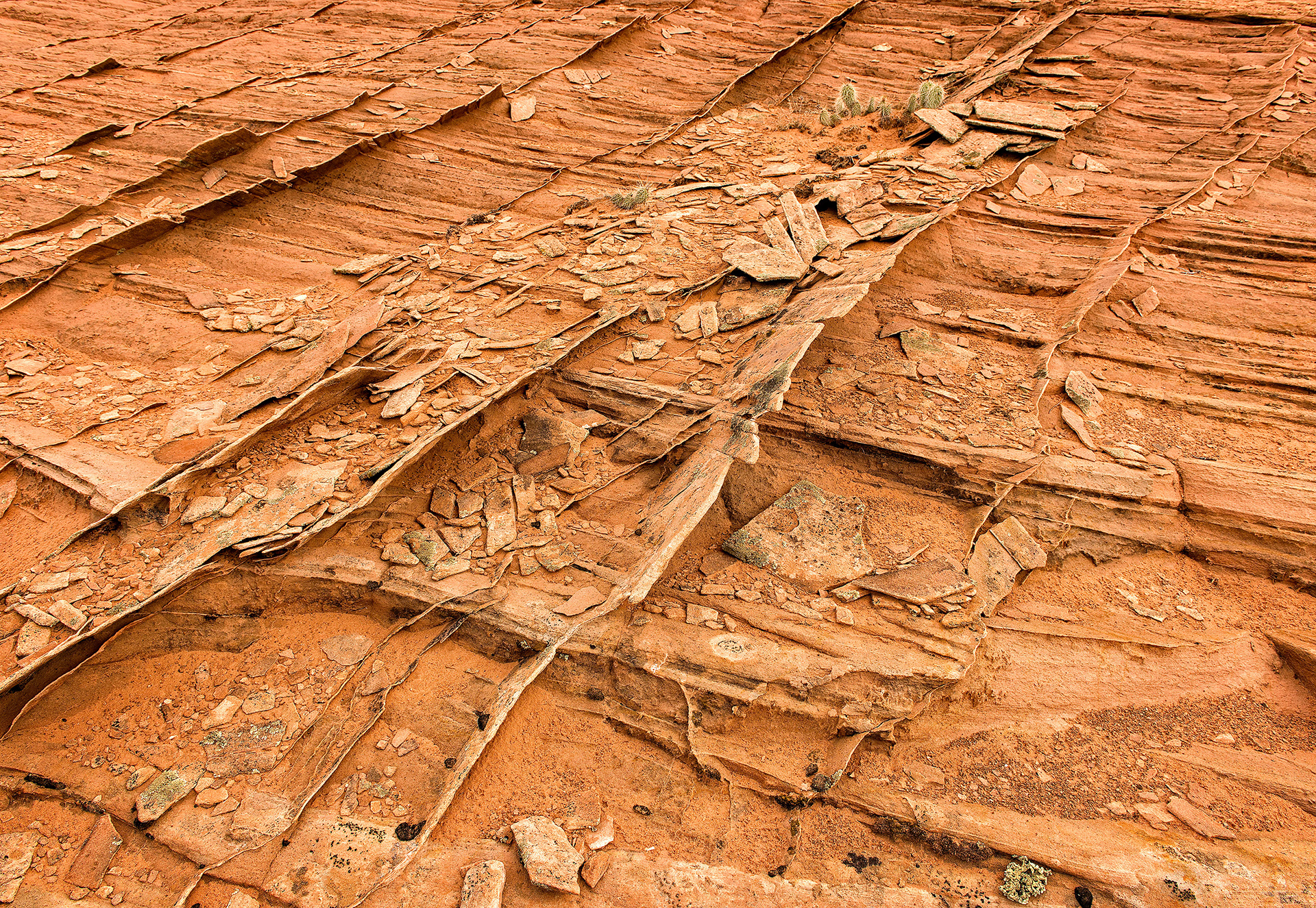 Edmaier's Secret, The Paria