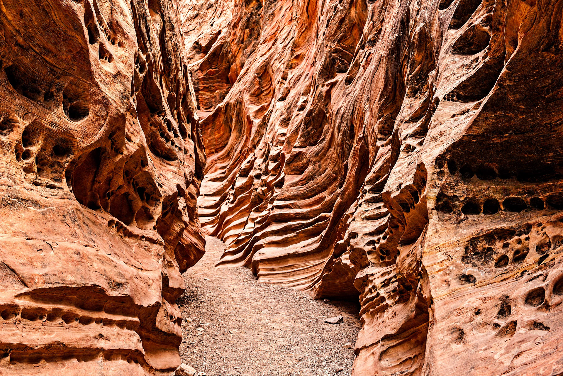 Wild Horse Slot Canyon