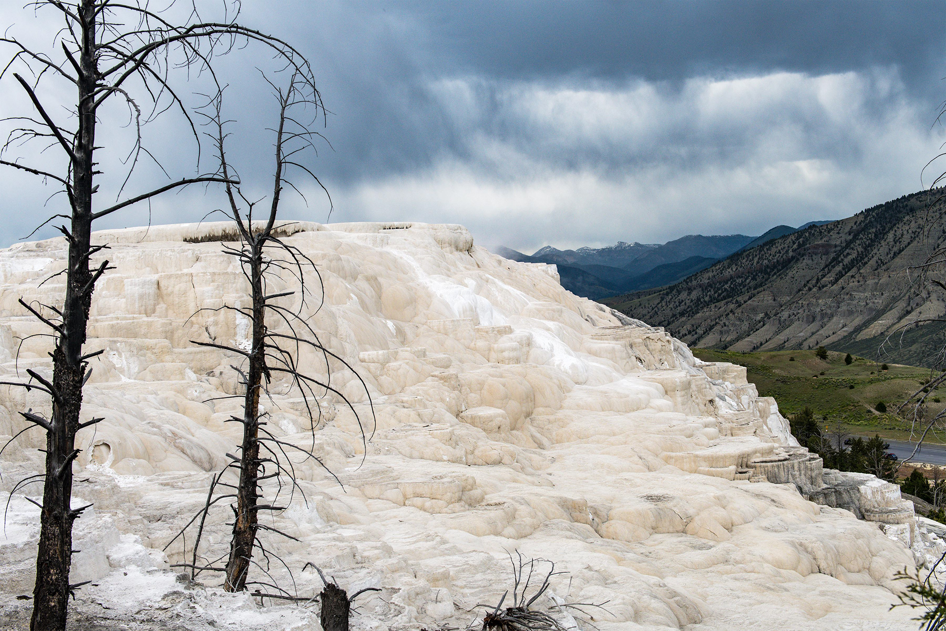 Mammoth Hot Springs - Canary Spring