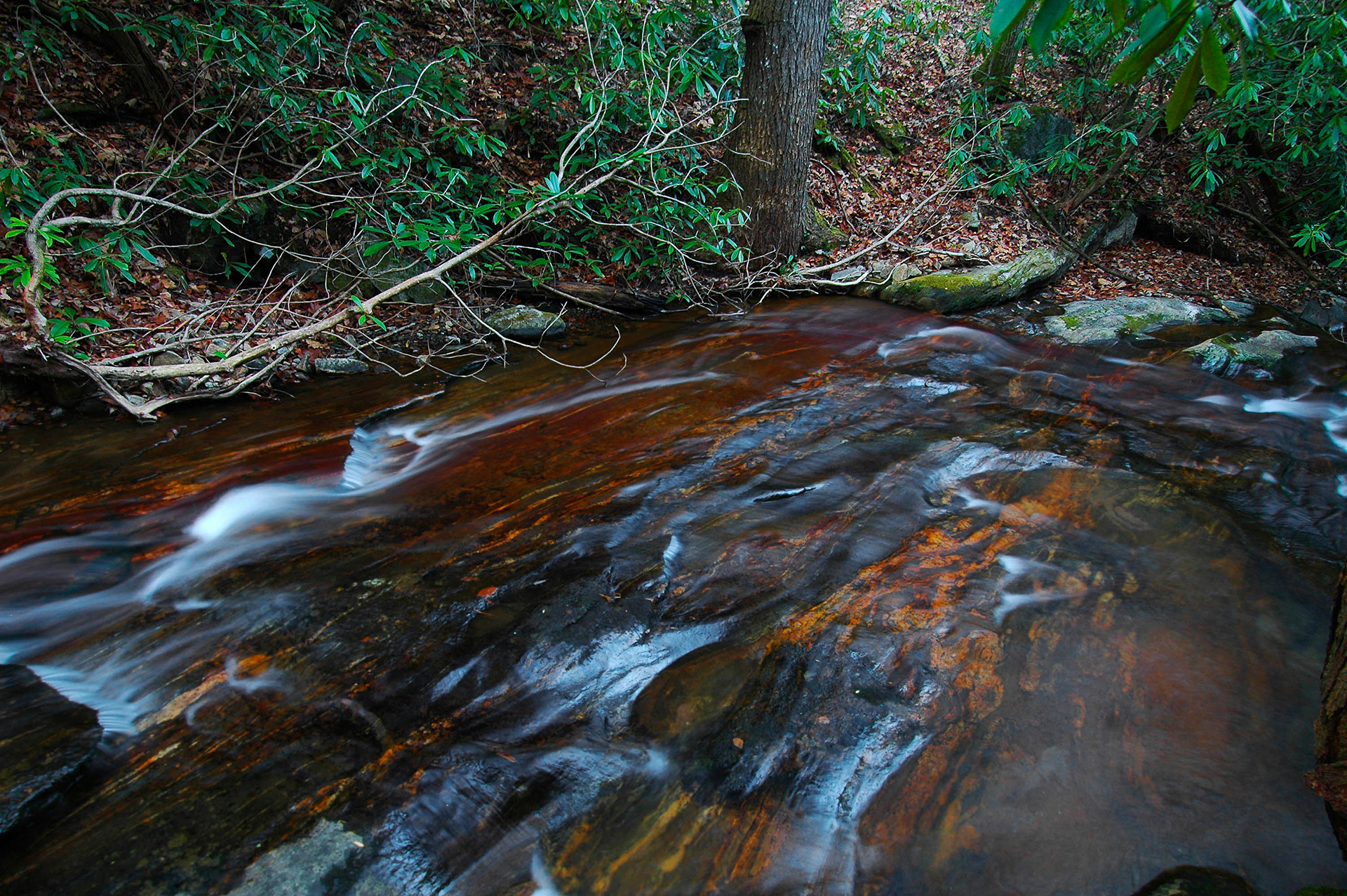 Camp Branch Creek, Western NC