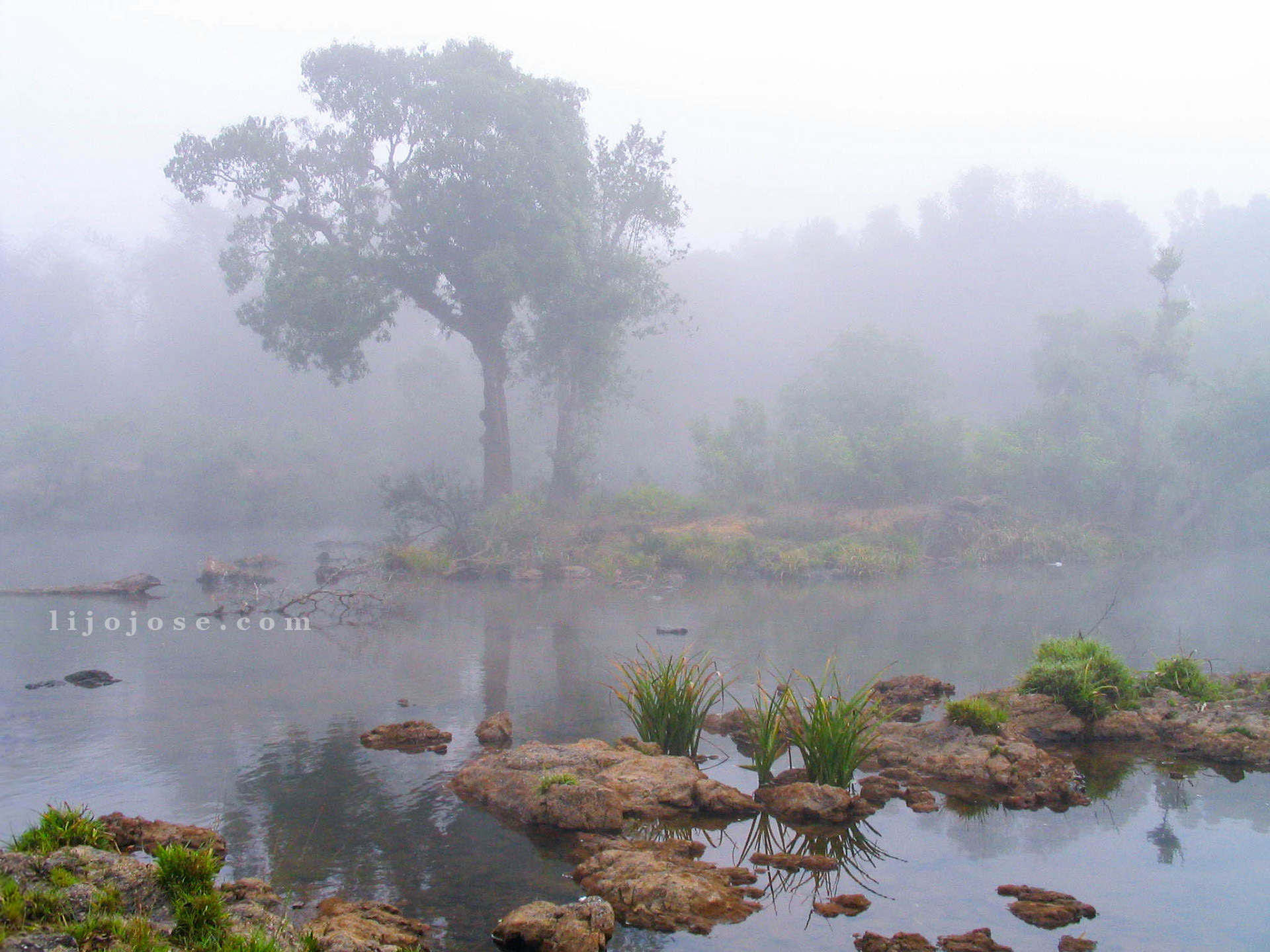 Misty morning serenity at Cauvery basin, Coorg