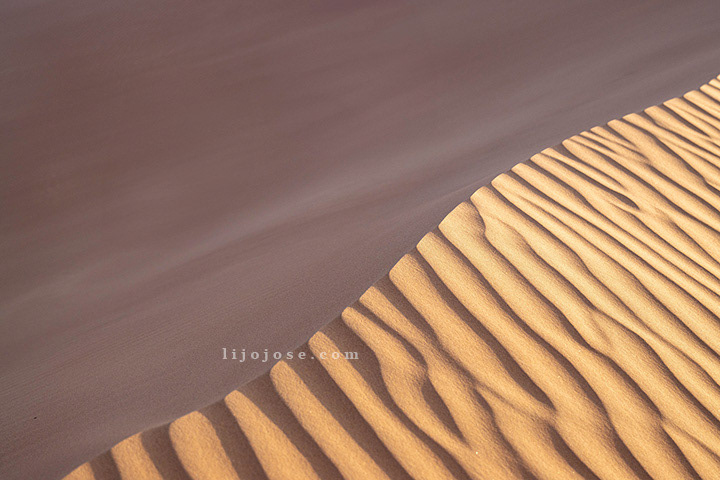 Golden Dunes at Sunset – Dubai Desert