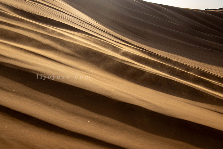 Golden Waves of the Desert