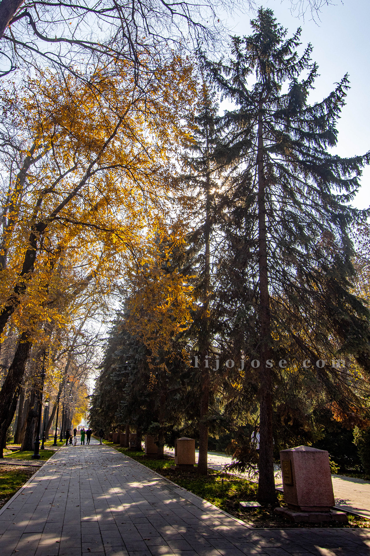 Autumn Serenity in Panfilov Park Almatty, Kazakhstan