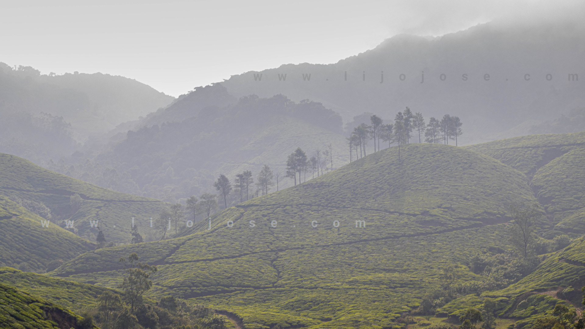 Munnar Aanamudi view point