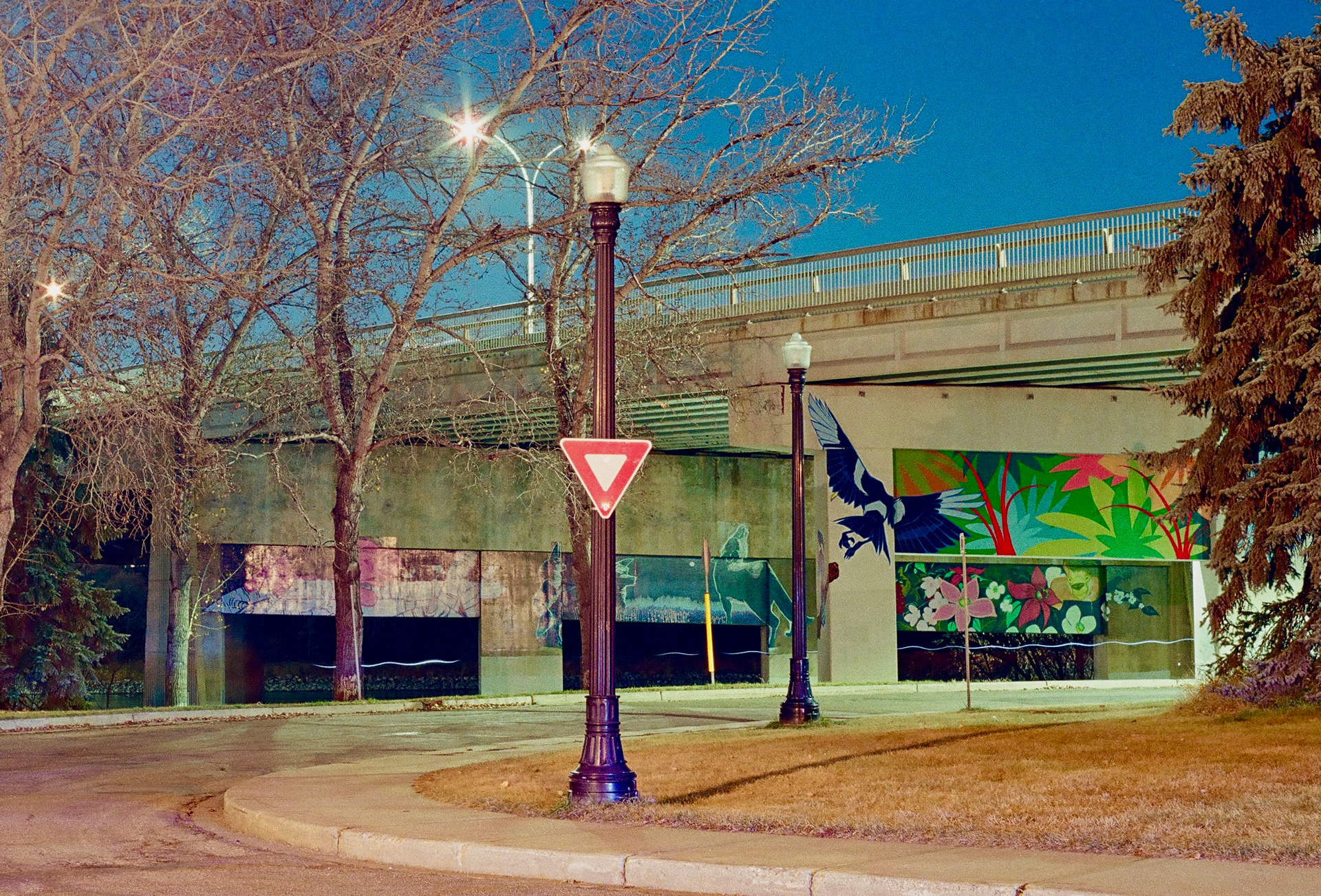 Pentax P30t | Fuji 400