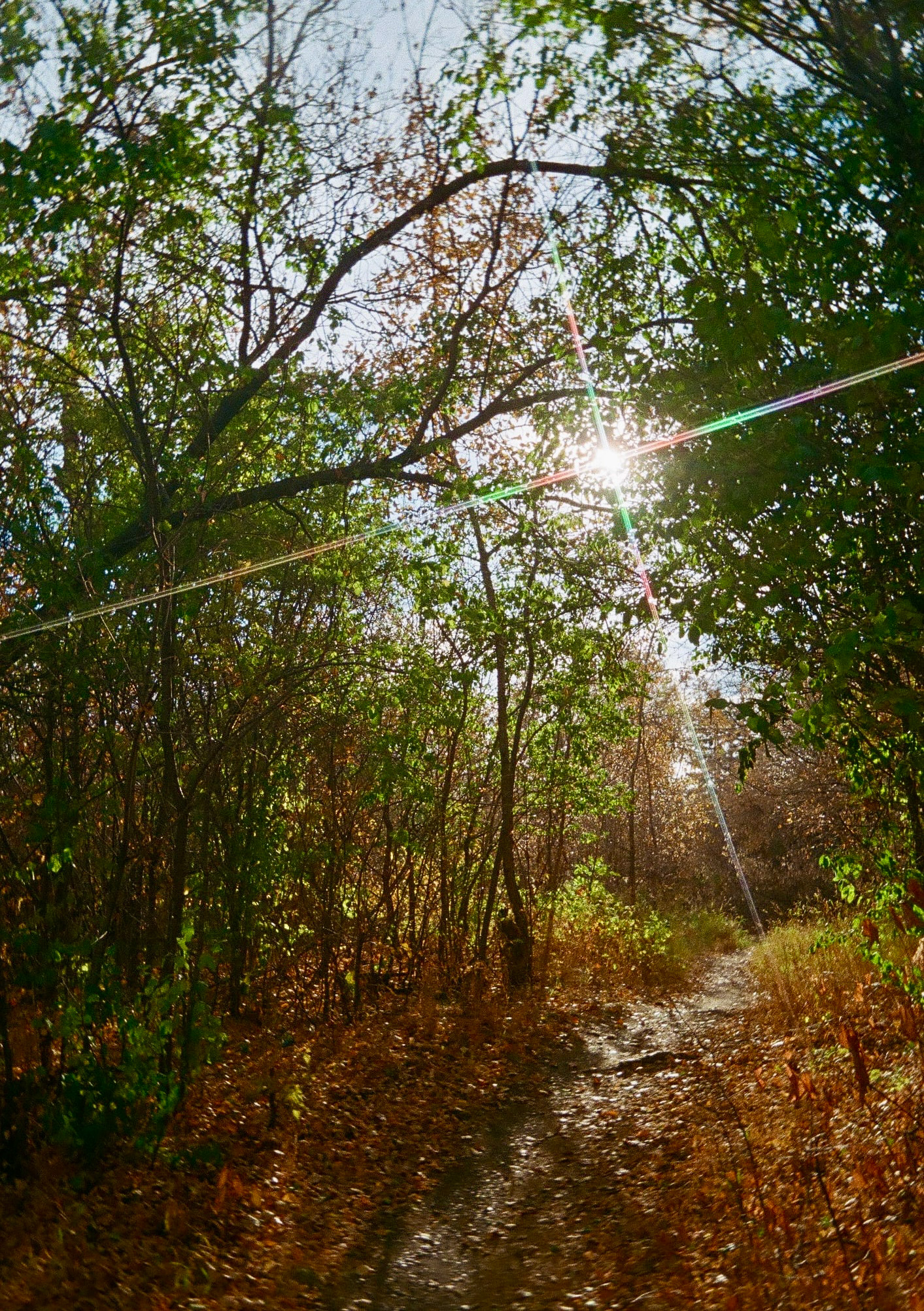 Kodak Ektar H35N | Fuji 400