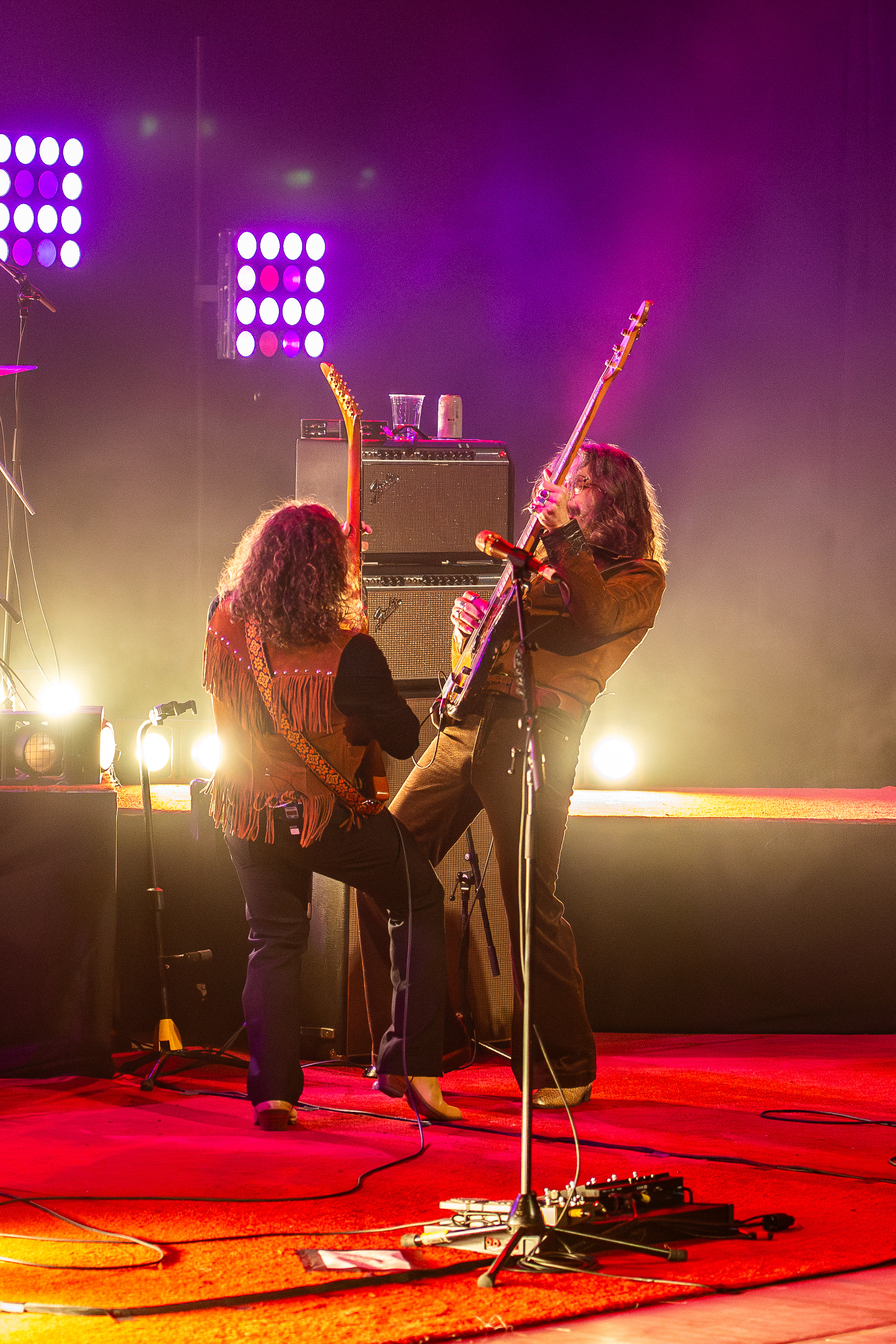 The Sheepdogs