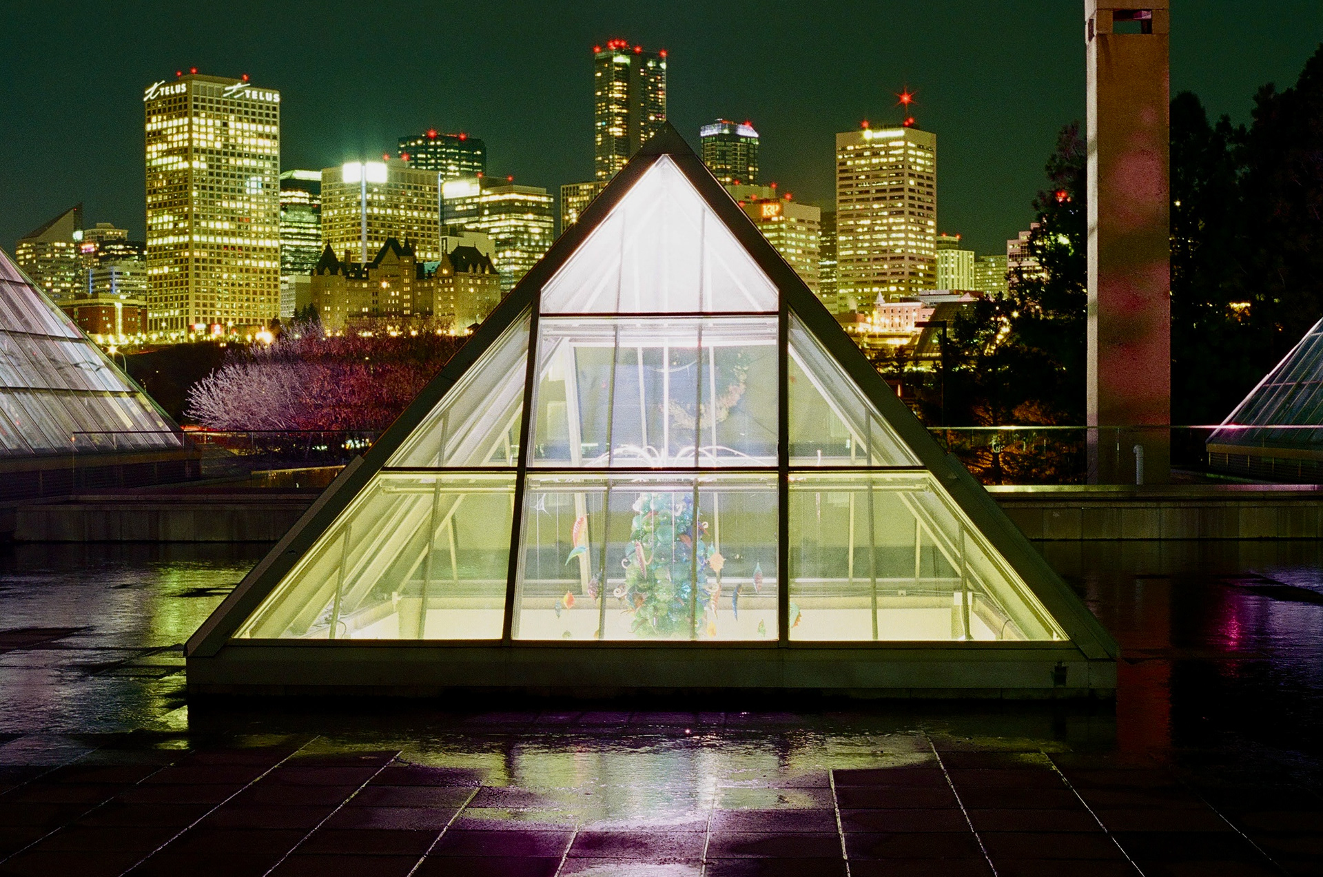 Pentax P30t | Fuji 400