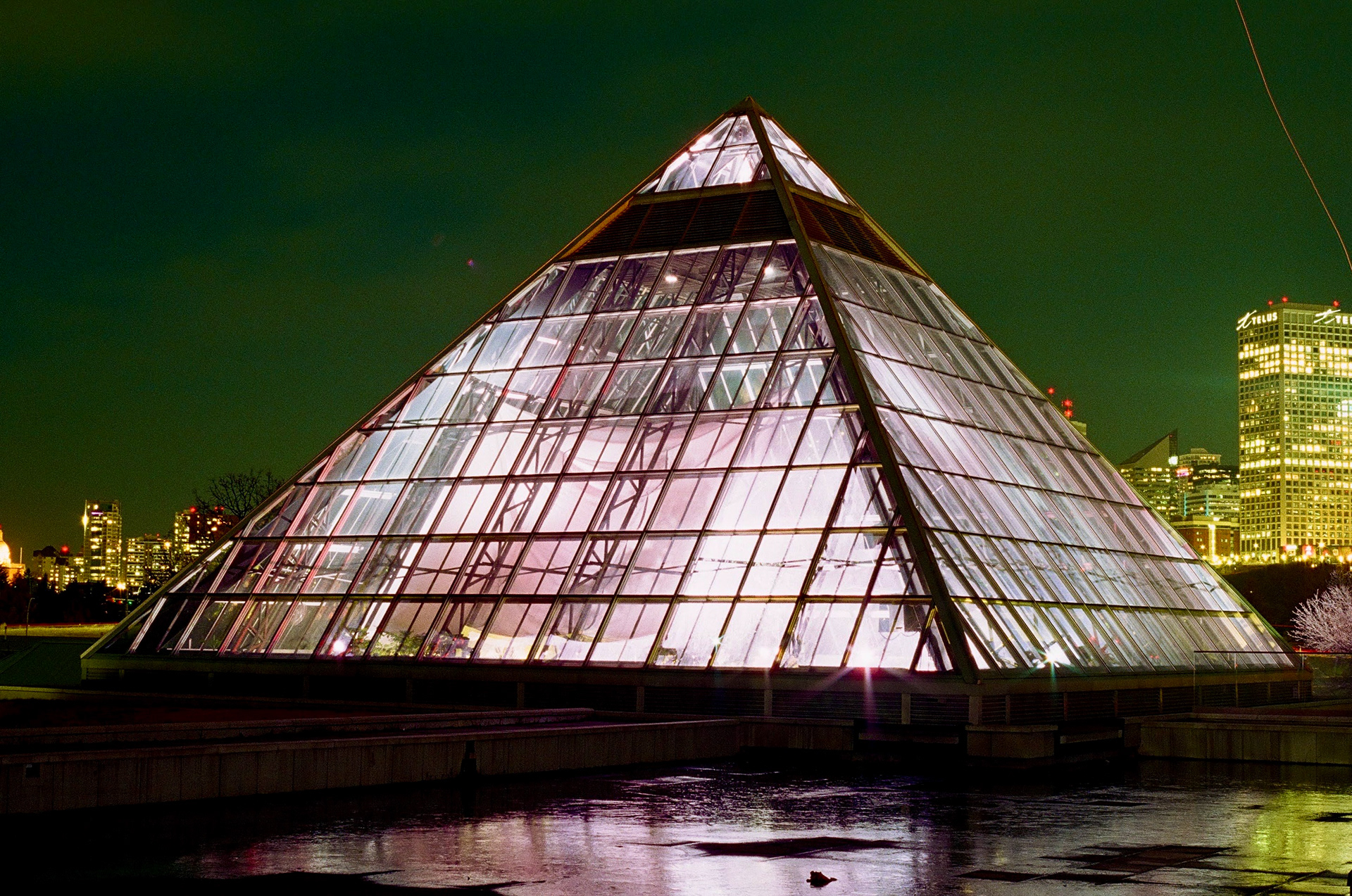 Pentax P30t | Fuji 400