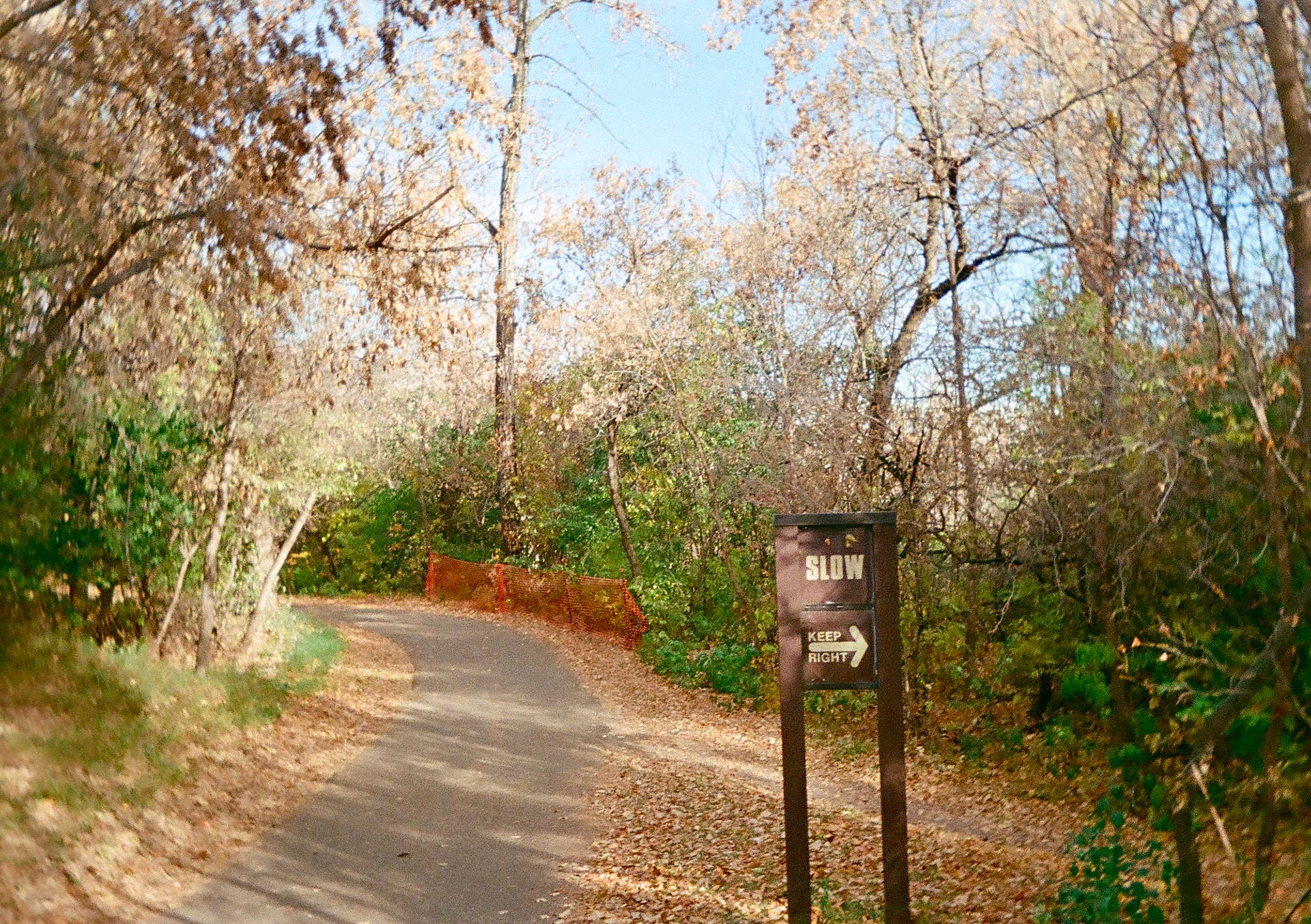 Kodak Ektar H35N | Fuji 400