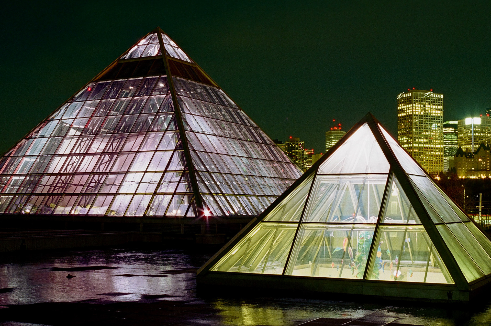 Pentax P30t | Fuji 400