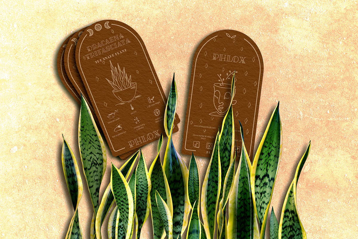 Plant Care - Business Cards in Brown