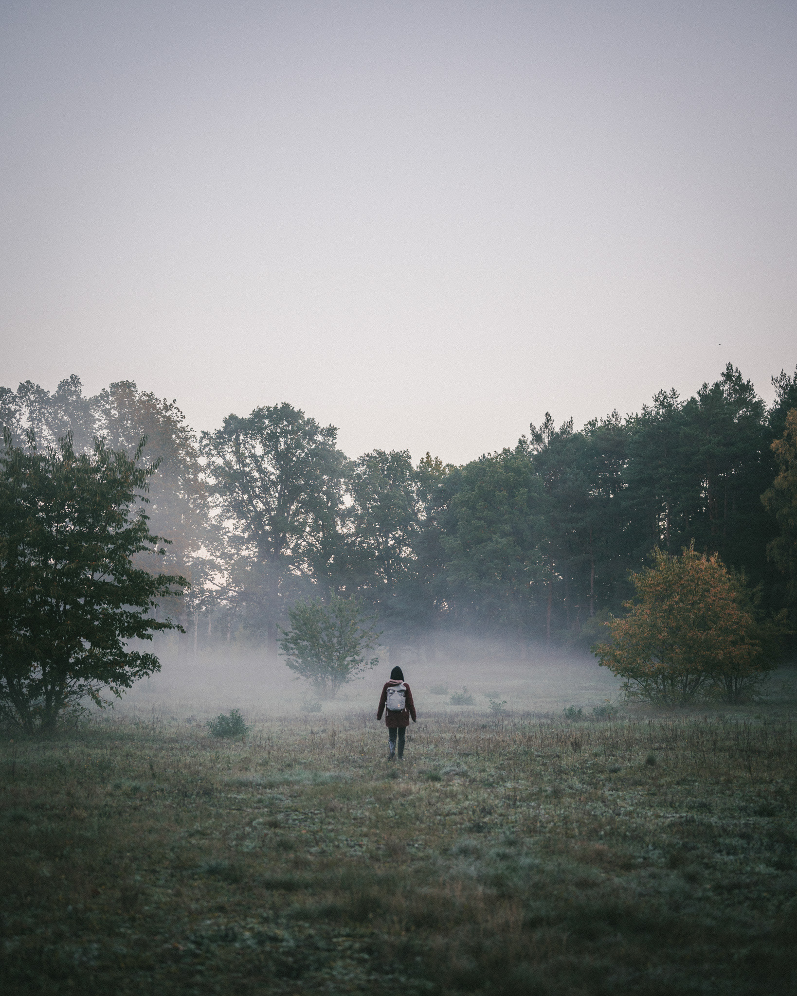 Chwila przed świtem. Pionowy kadr ukazuje postać ubraną w bordowy płaszcz i szary plecak idącą wśród niskich mgieł w stronę lasu. Dominują odcienie zieleni oraz szarawo błękitna barwa czystego nieba. 