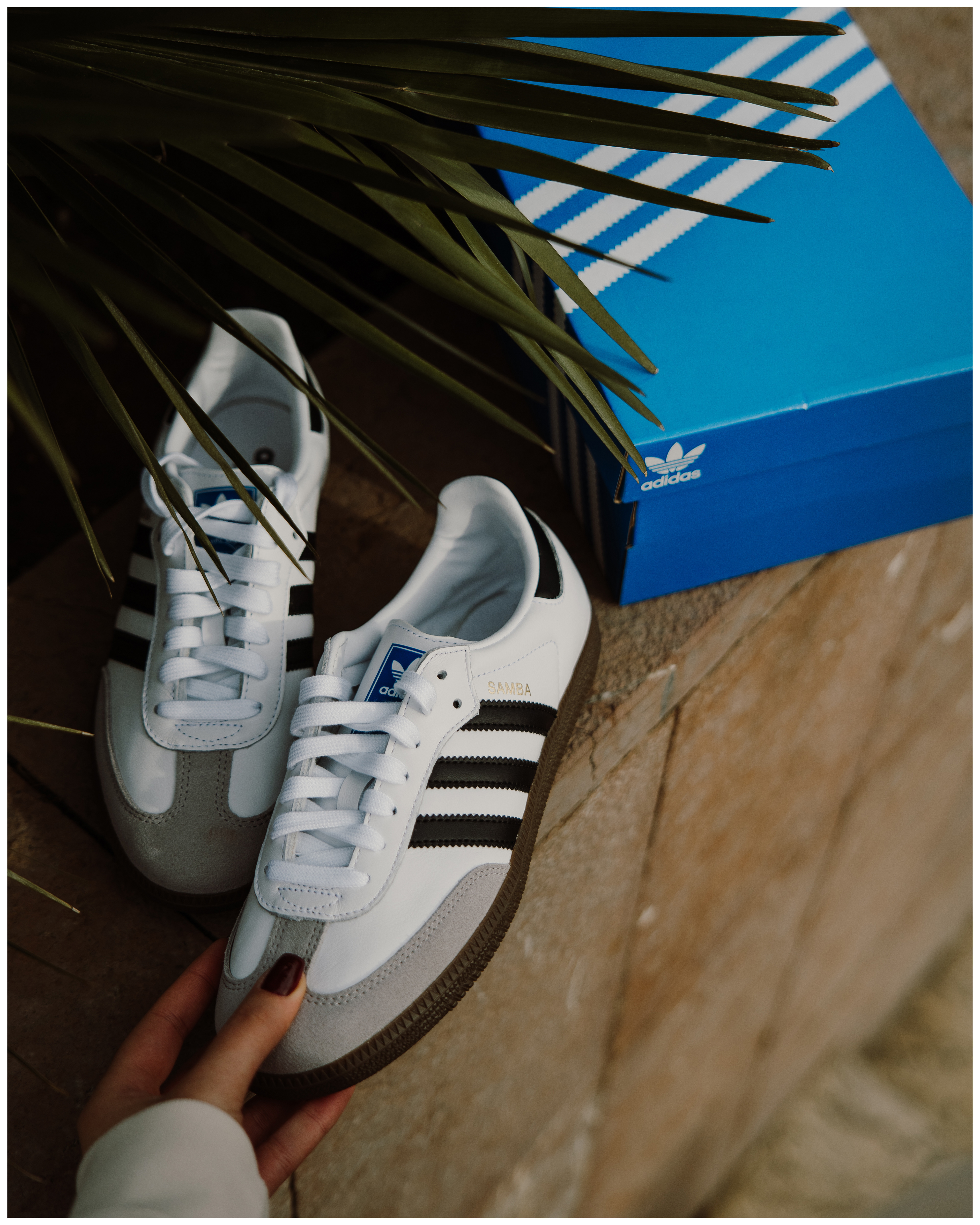 Buzz Sneaker Station - Adidas SAMBA