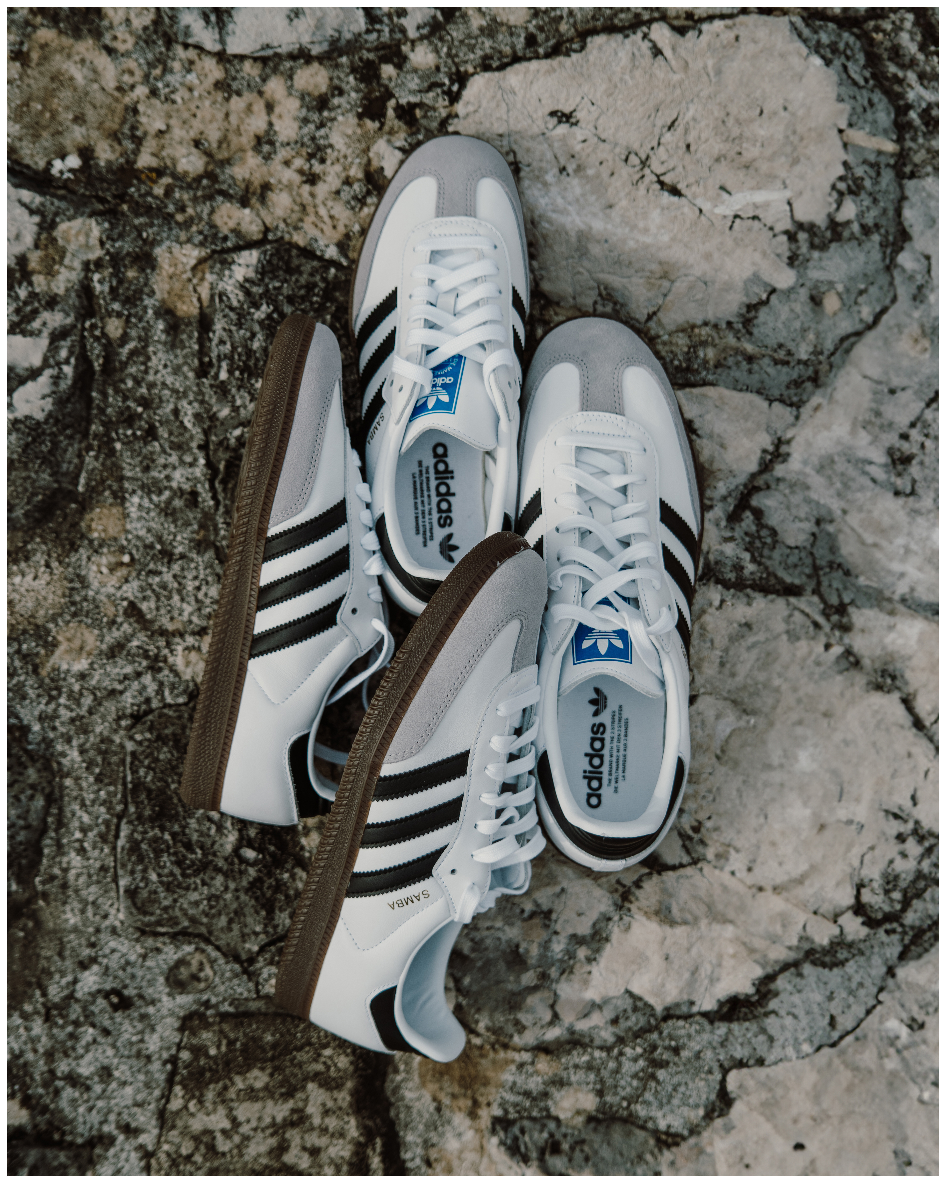 Buzz Sneaker Station - Adidas SAMBA