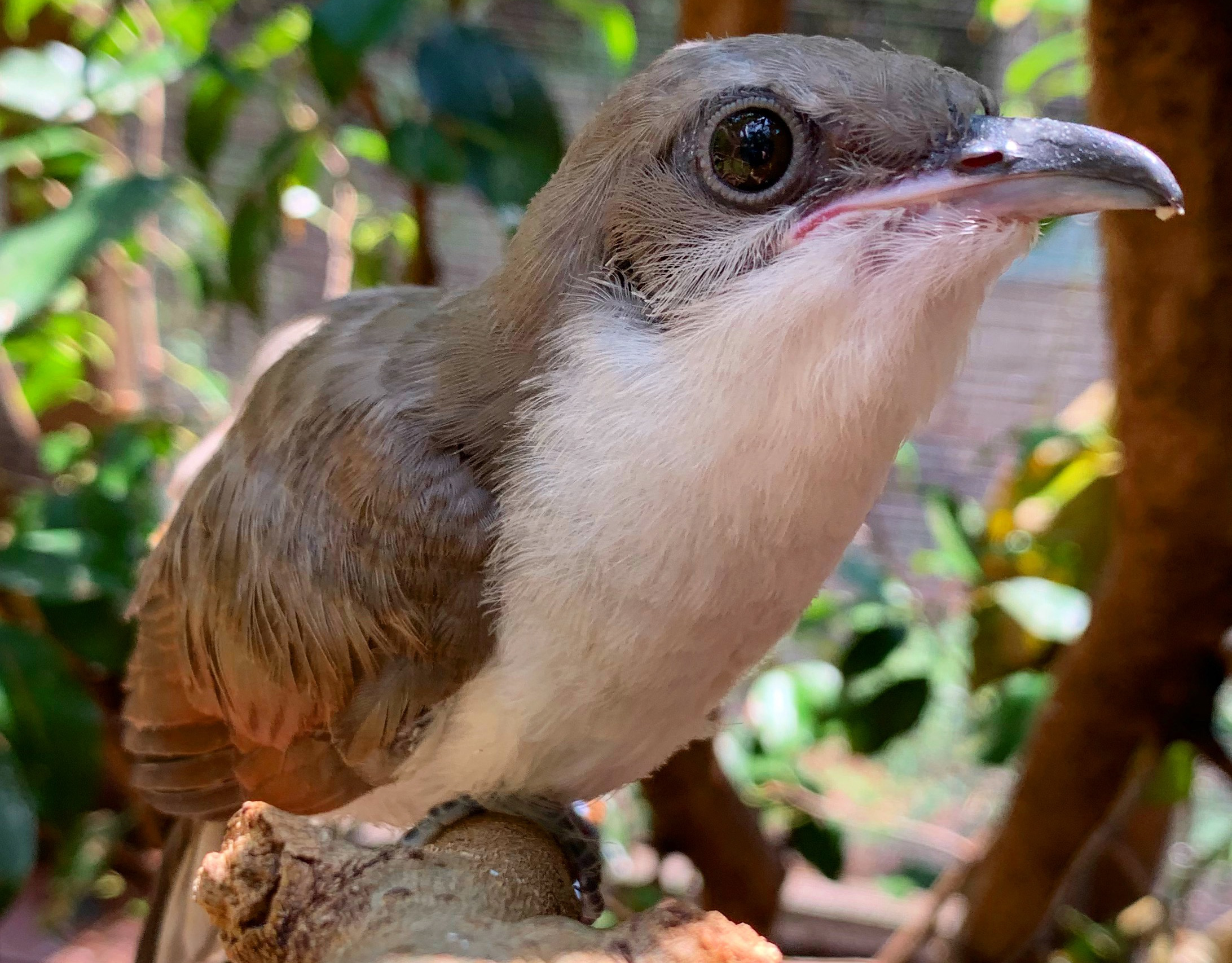 Rockfish Wildlife Sanctuary