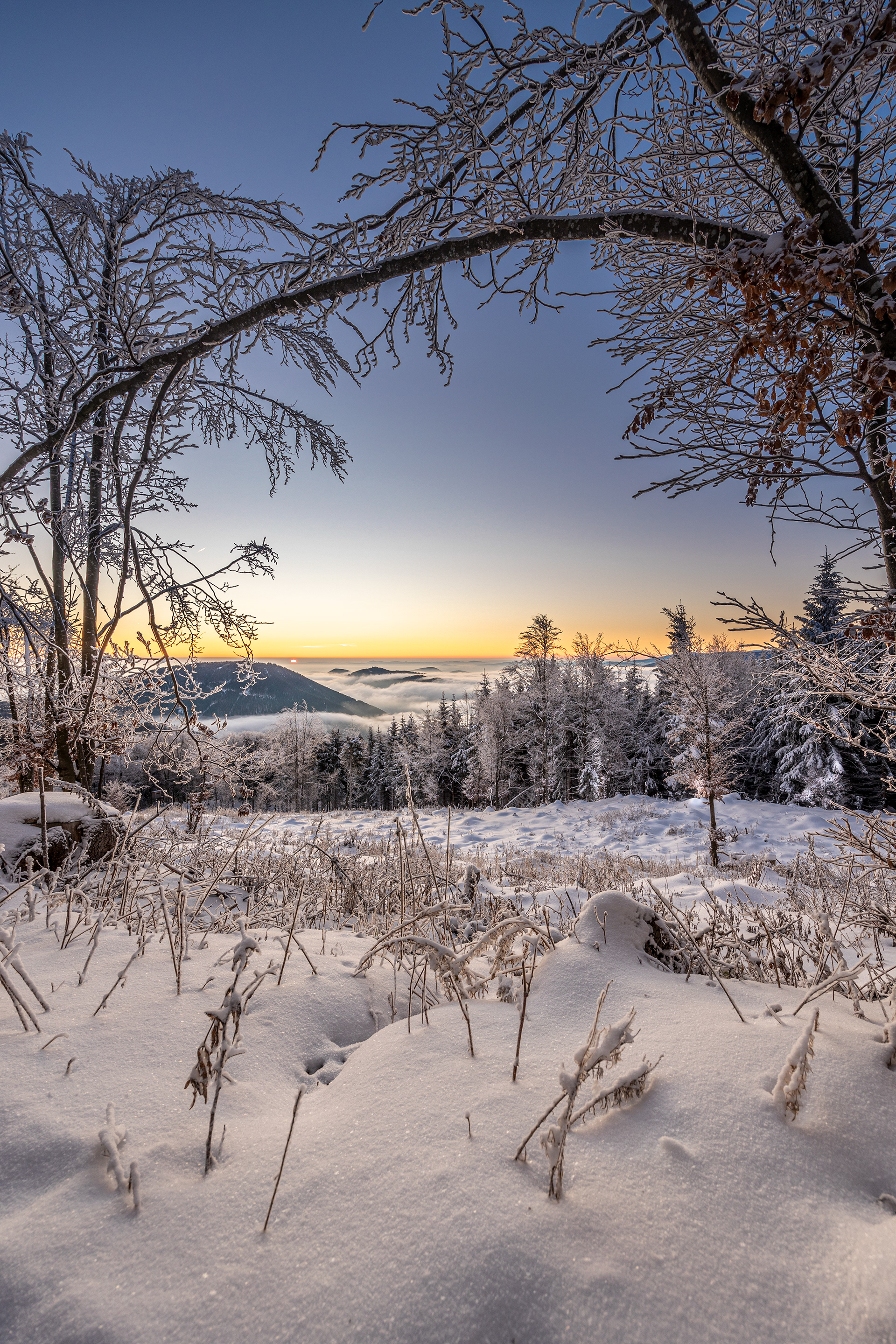 Winter Sunrise
