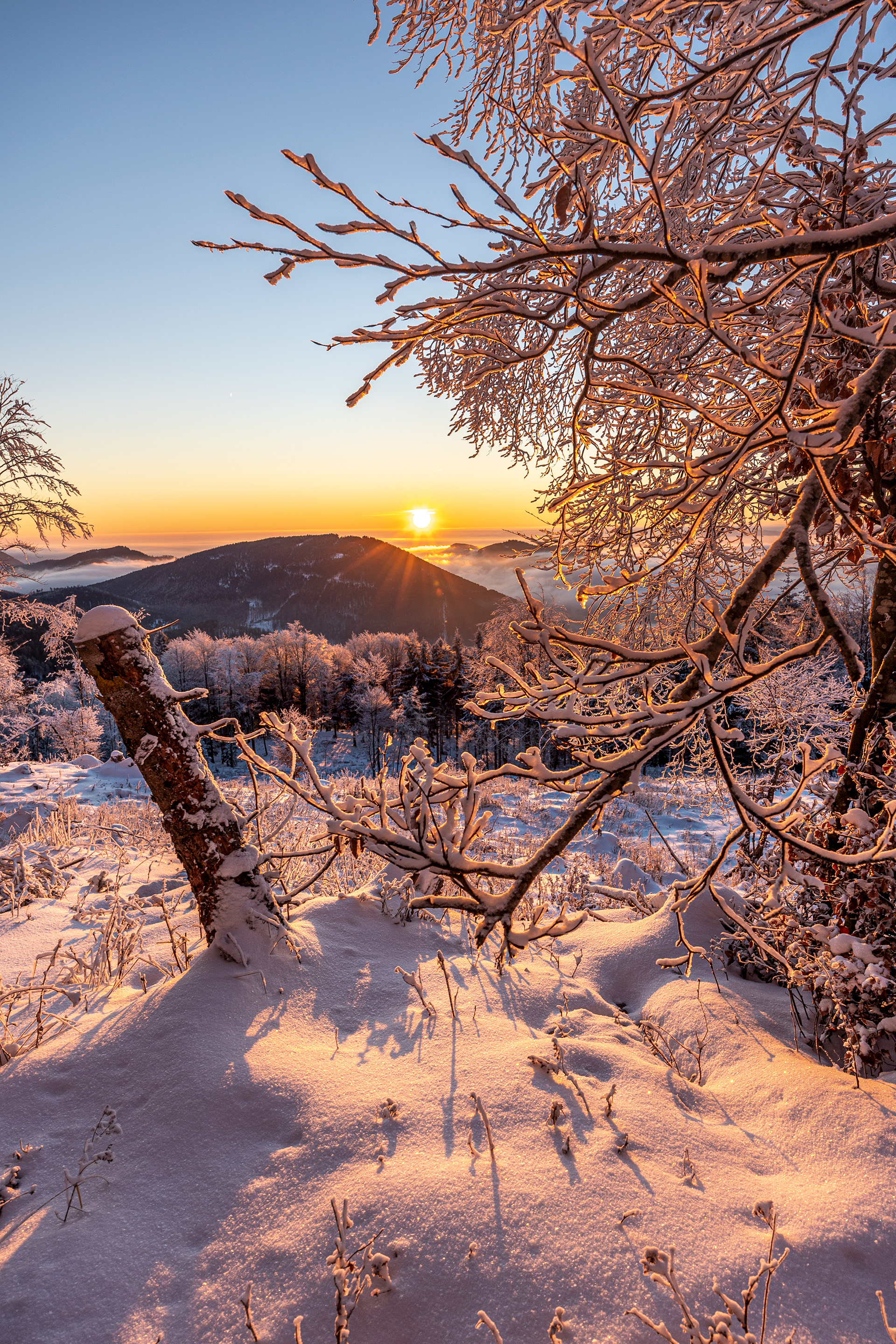 Winter Sunrise