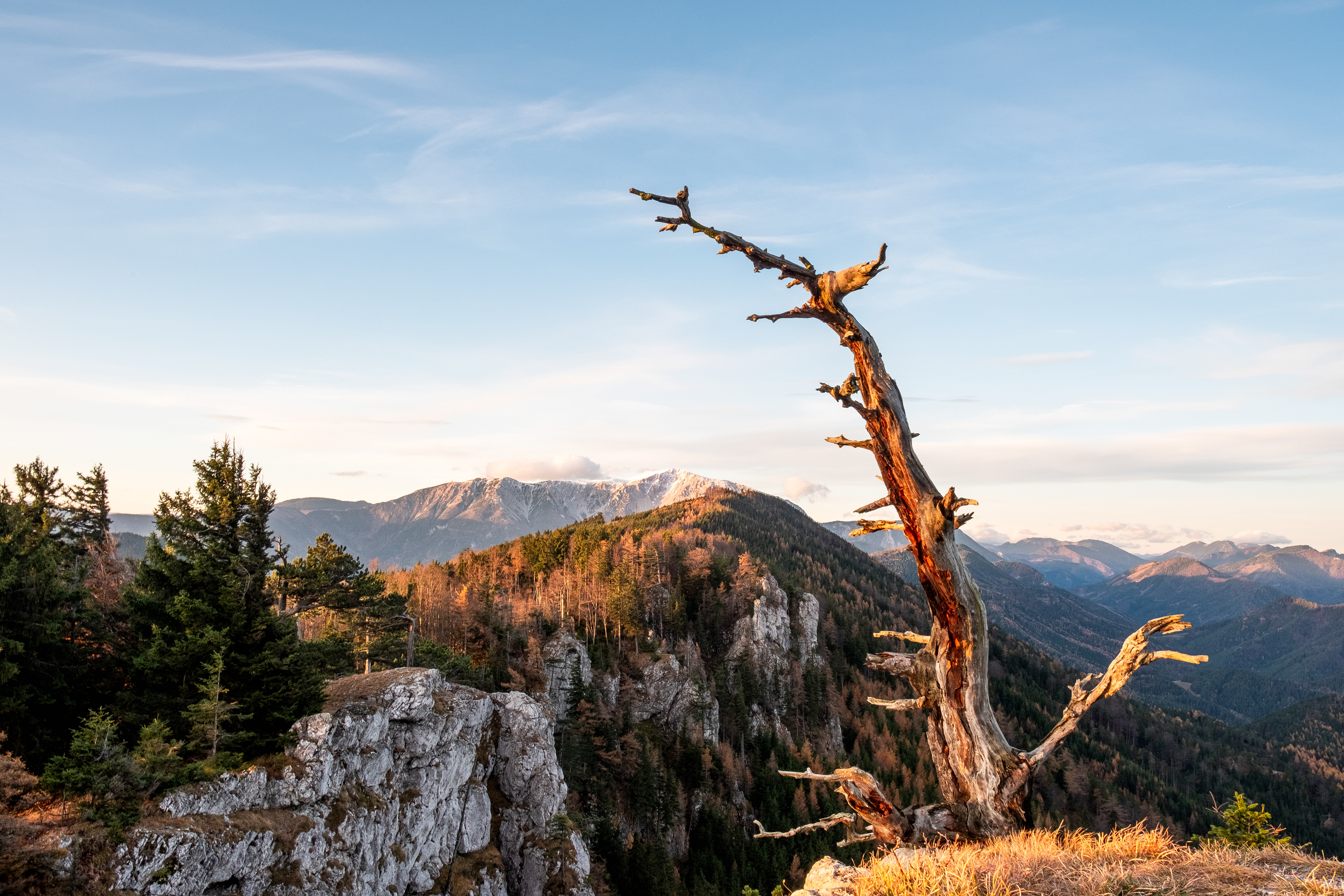 Dürre Wand mit Blick auf Schneeberg