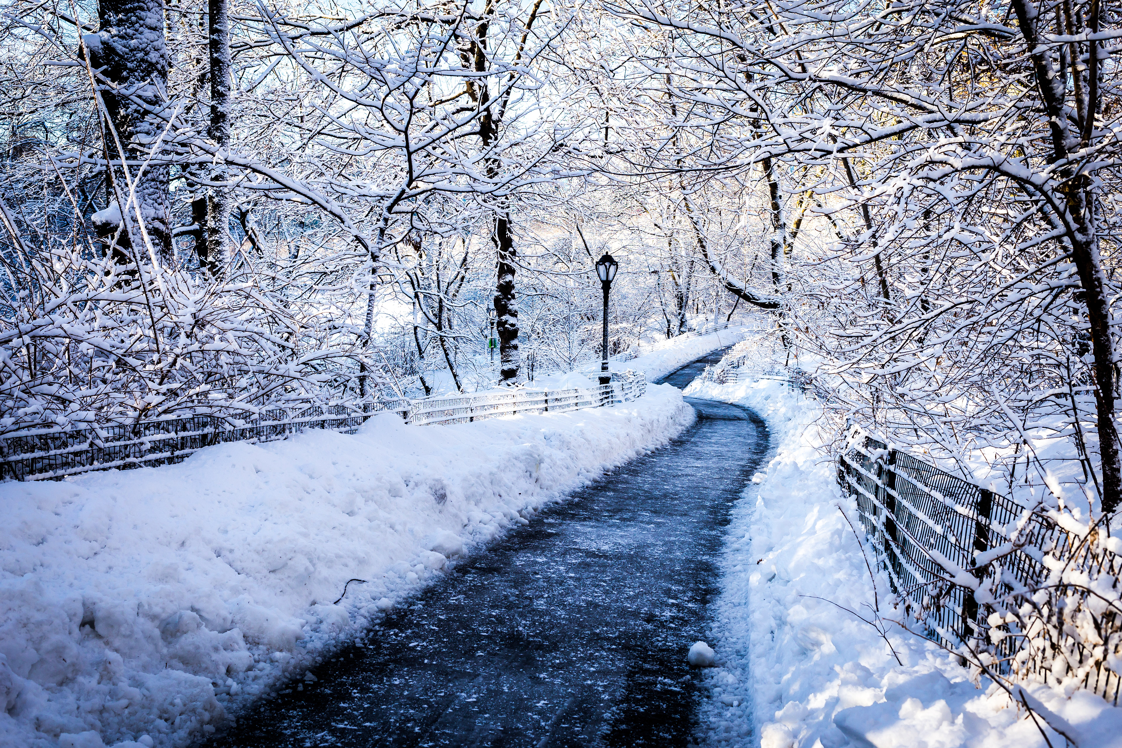 Snowy Path - Central Park - New York