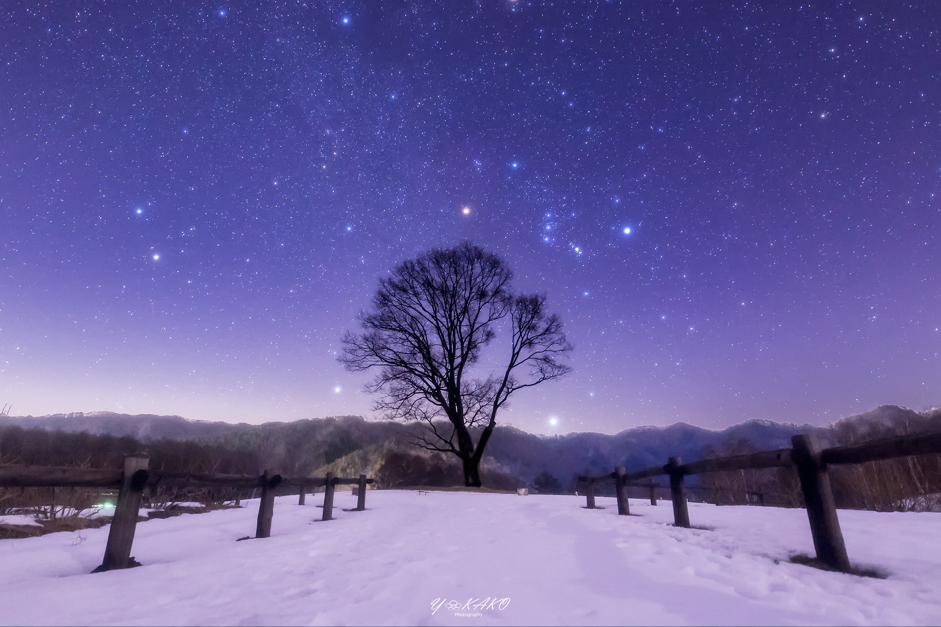 - Snow fantasy -