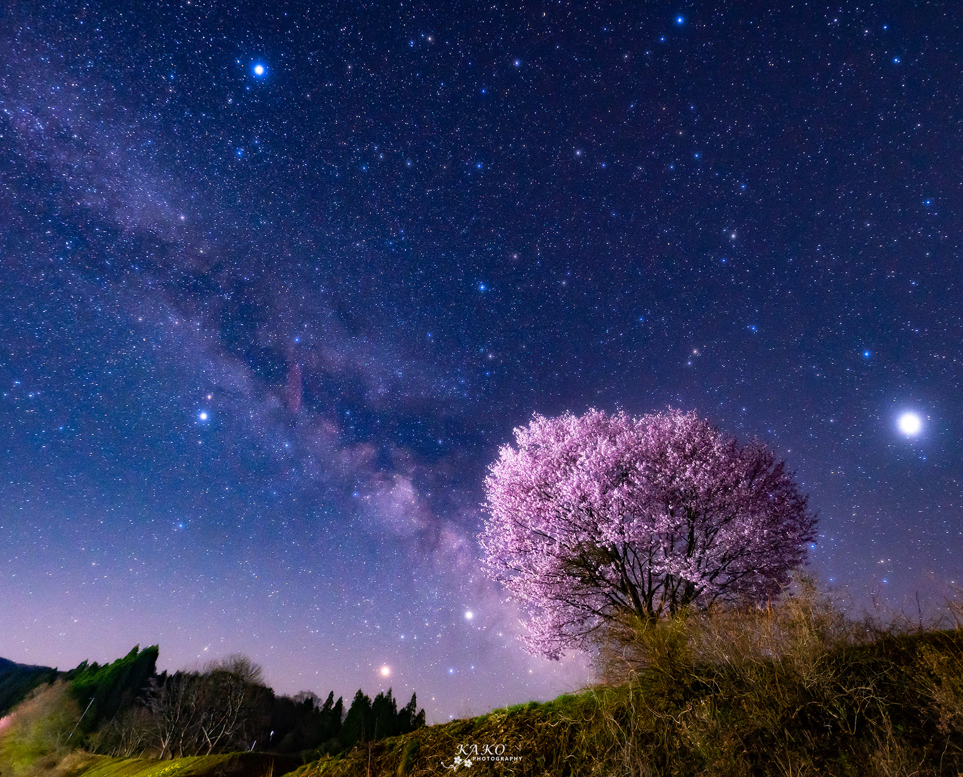 「野平の桜と天の川」JAPAN PHOTO 2018 春夏フォトコンテスト 特選