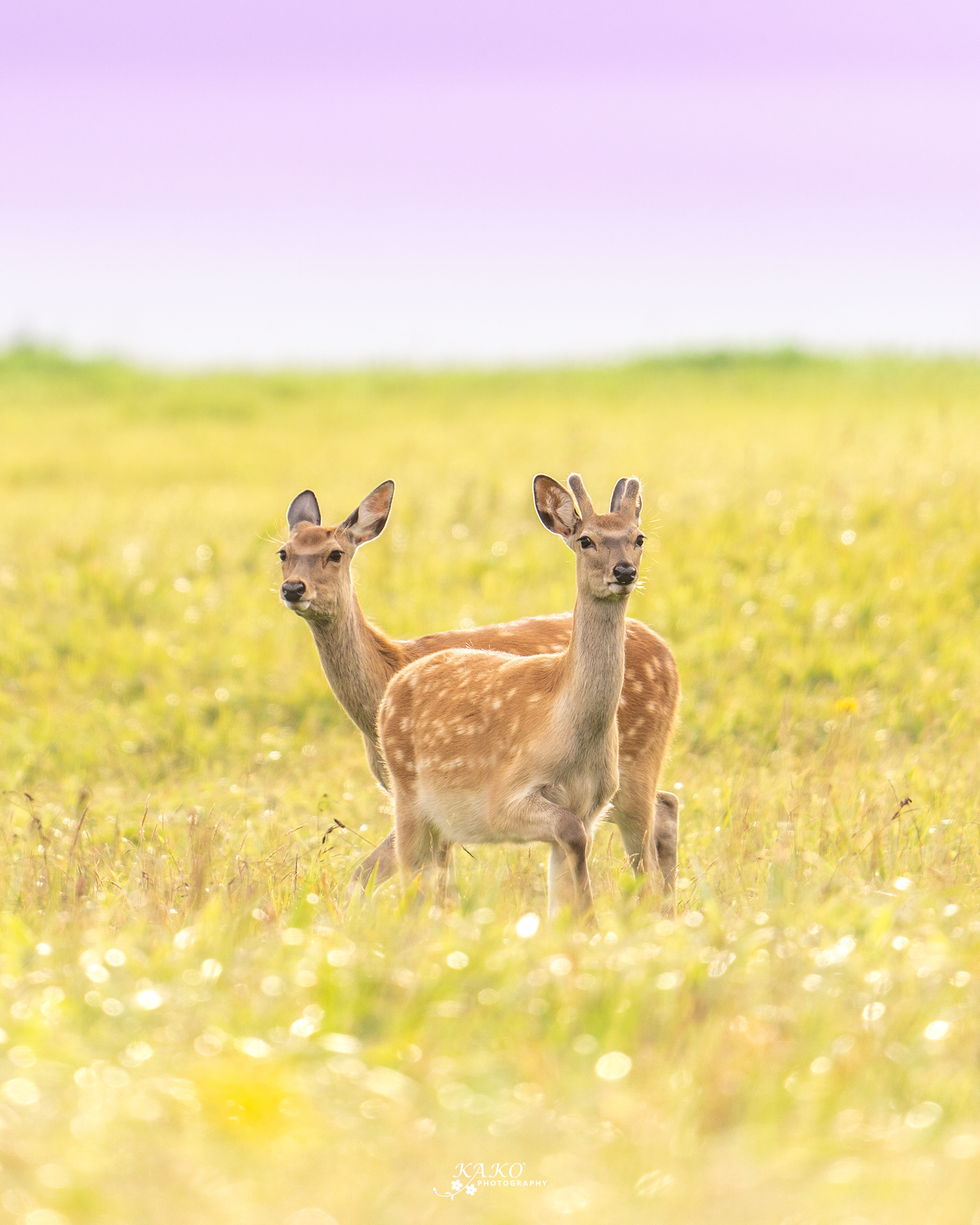 東京カメラ部2020写真展 "My Precious" Photo Contest 受賞作品