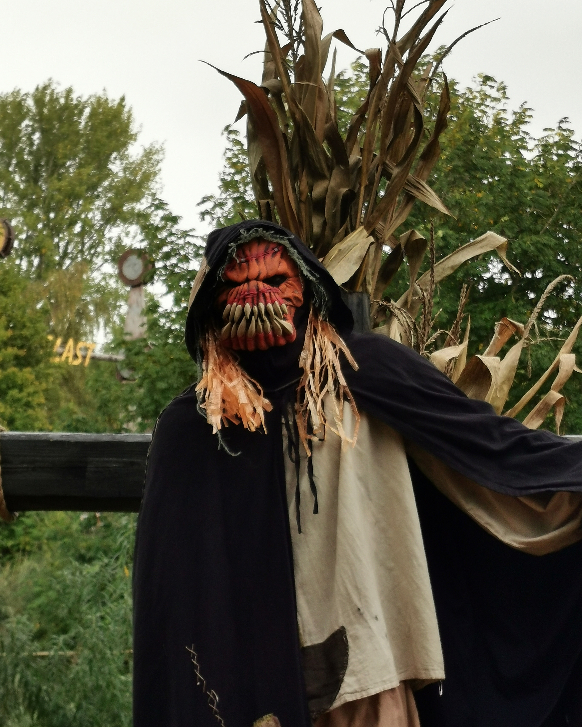 Biddinghuizen, 2019.