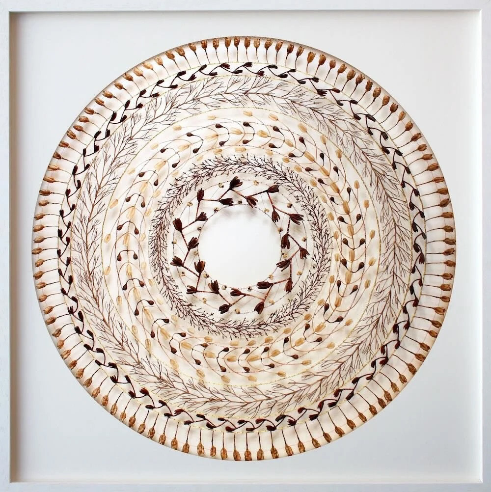 Seedheads at Hidcote, Olga Prinku, 2024