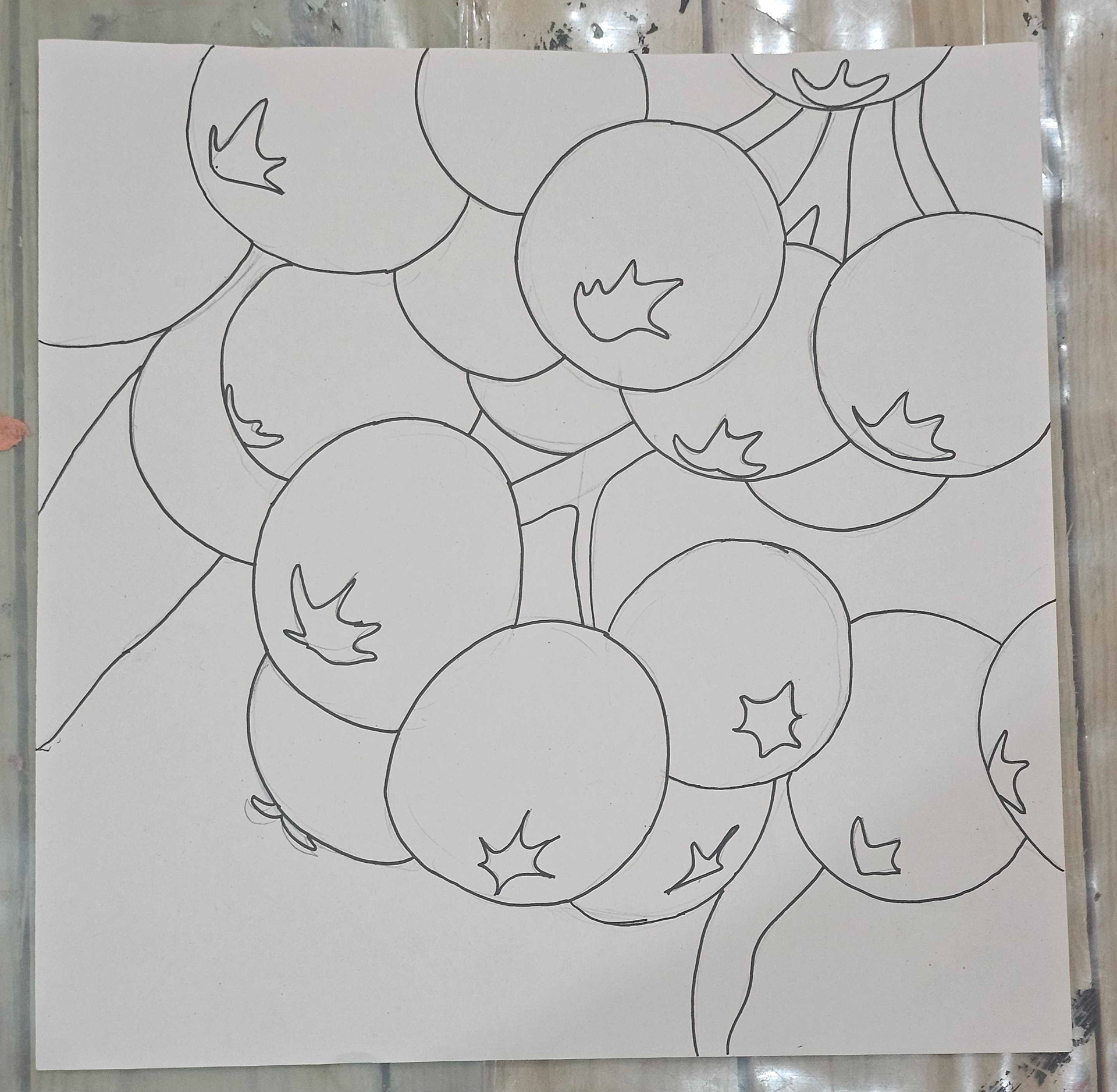 A close up drawing of Firethorn fruit which I plan to make into a batik