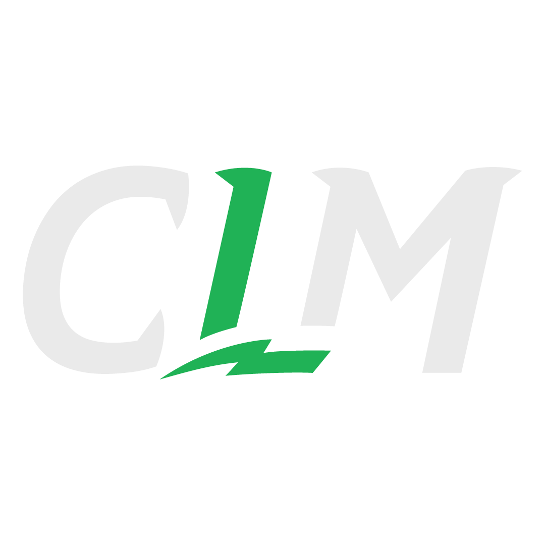 Chelsea Lewis Media logo