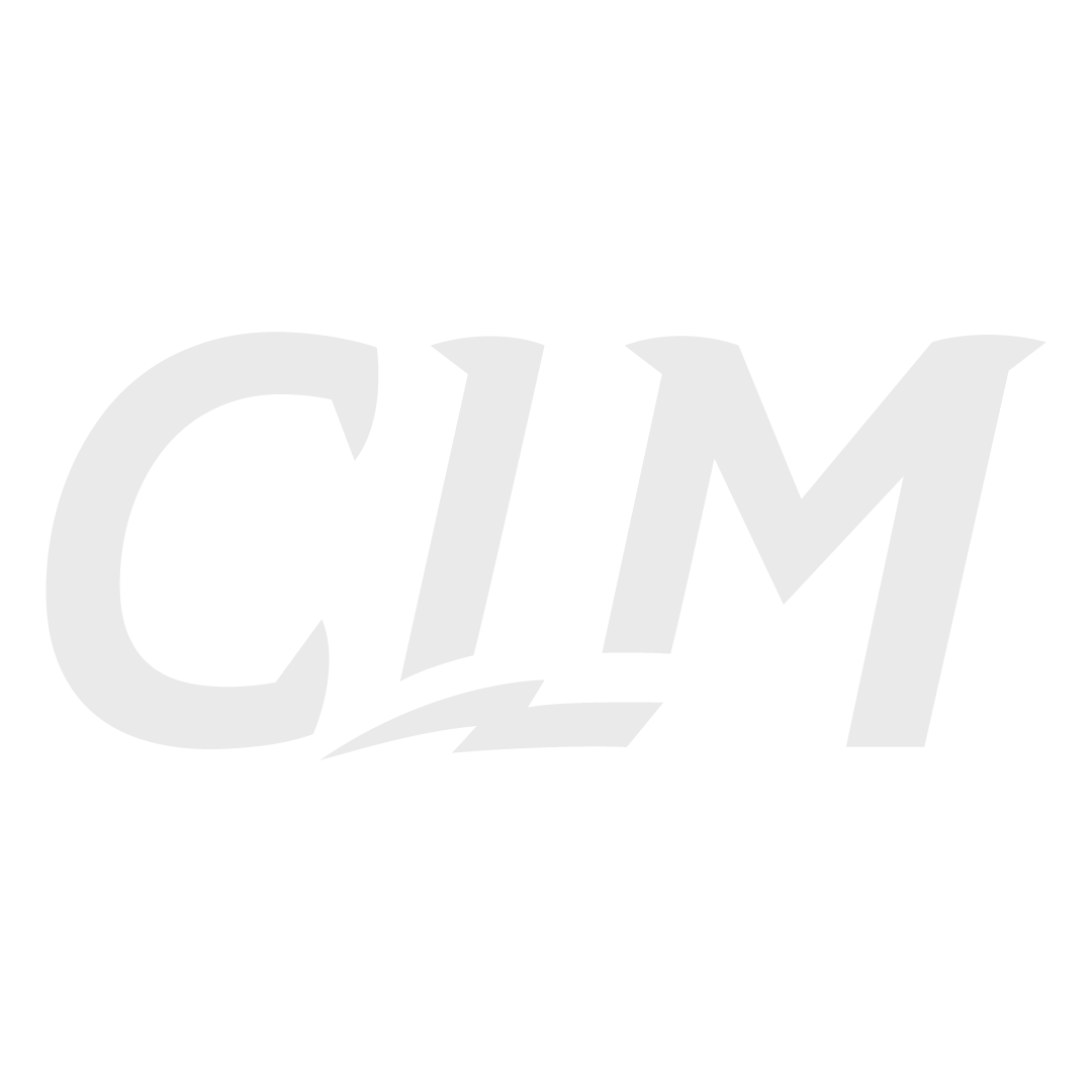 Chelsea Lewis Media logo